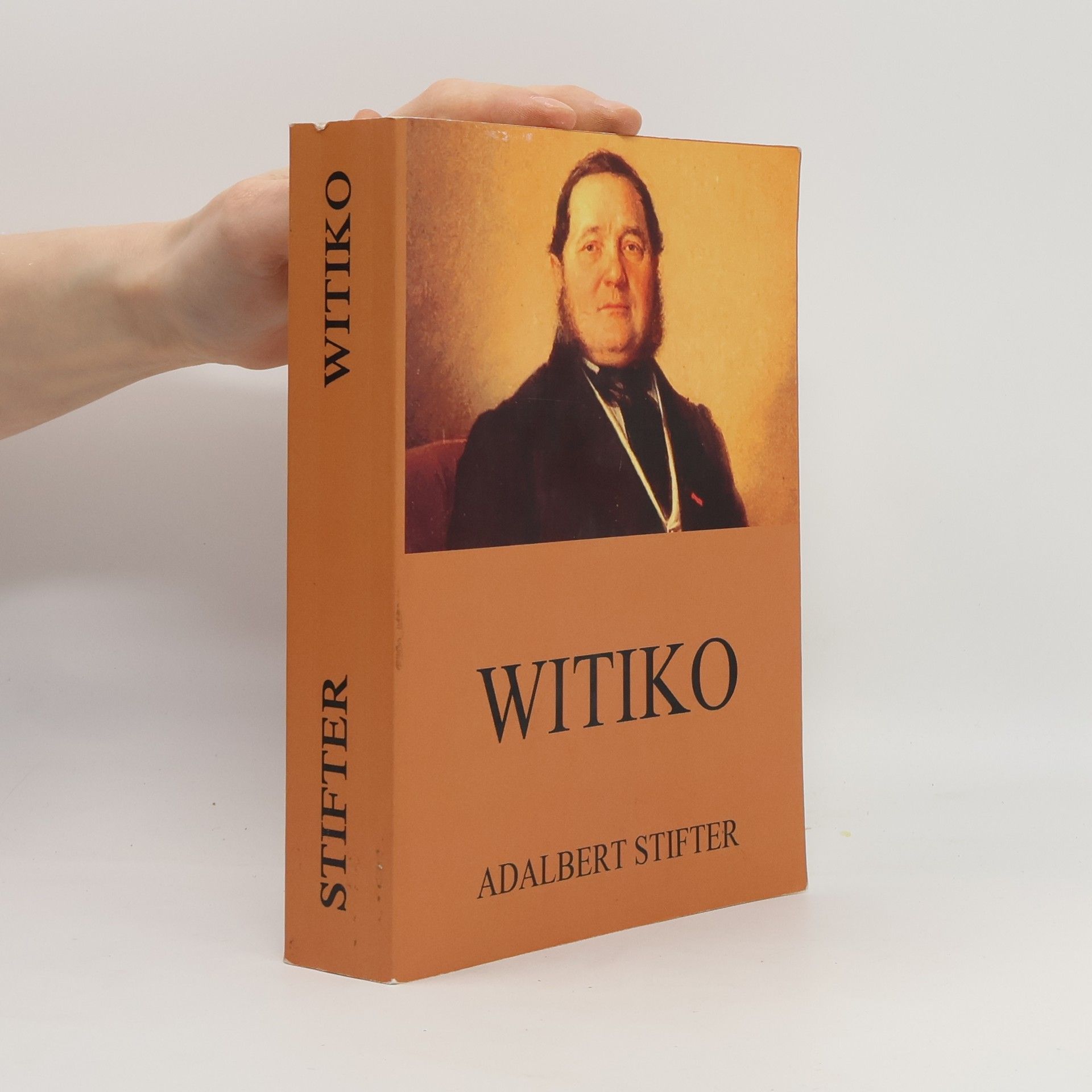 Adalbert Stifter Witiko