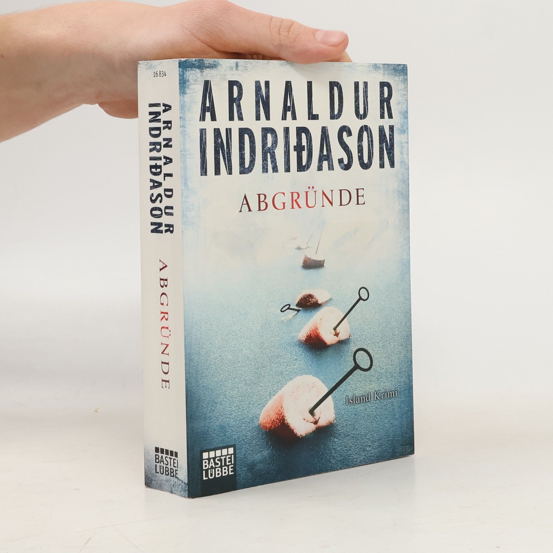Arnaldur Indridason Abgründe