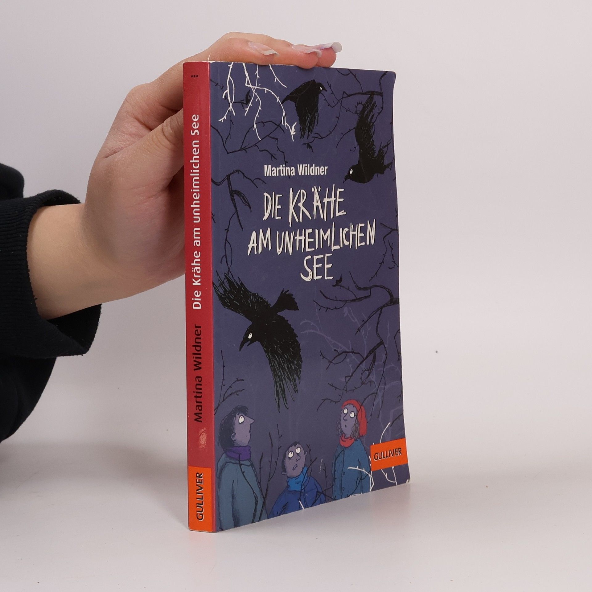 Martina Wildner Die Krähe am unheimlichen See