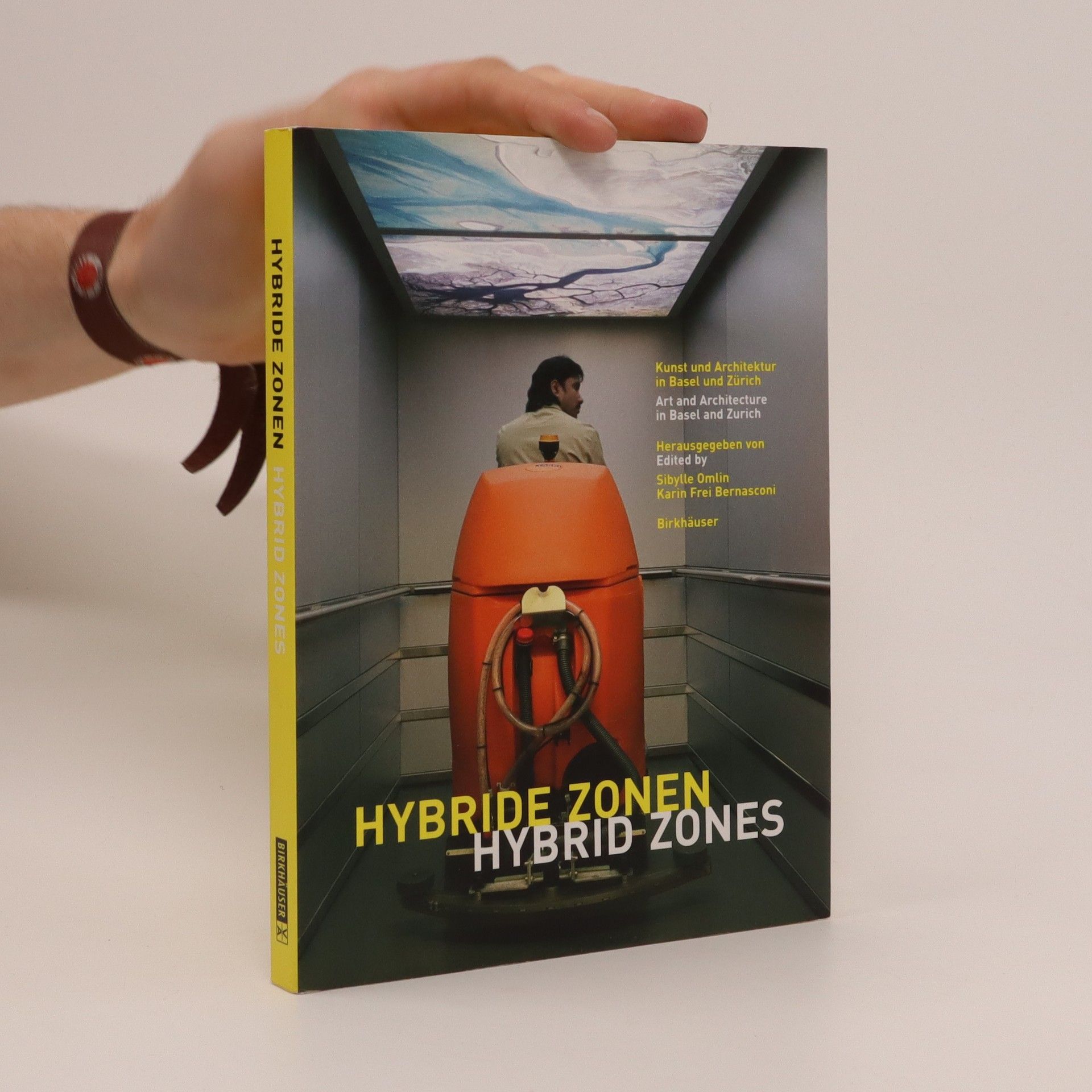 Sibylle Omlin Hybride Zonen : Kunst und Architektur in Basel und Zürich