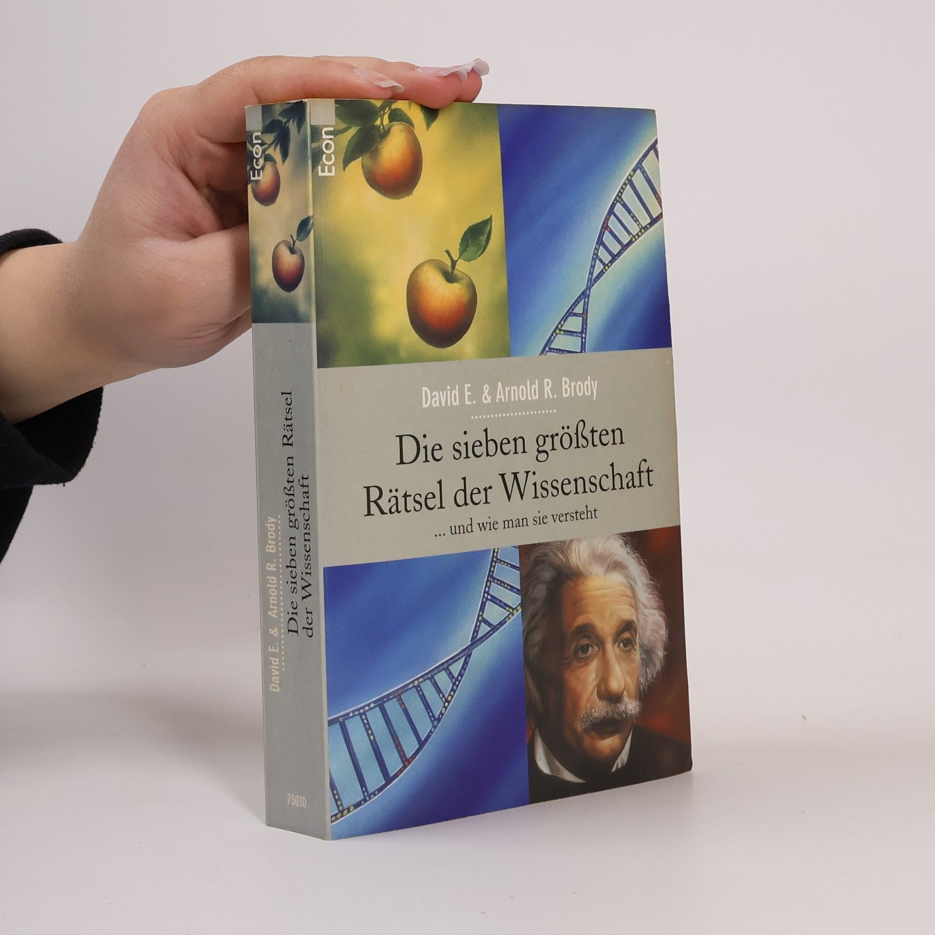 David E. Brody Die sieben größten Rätsel der Wissenschaft