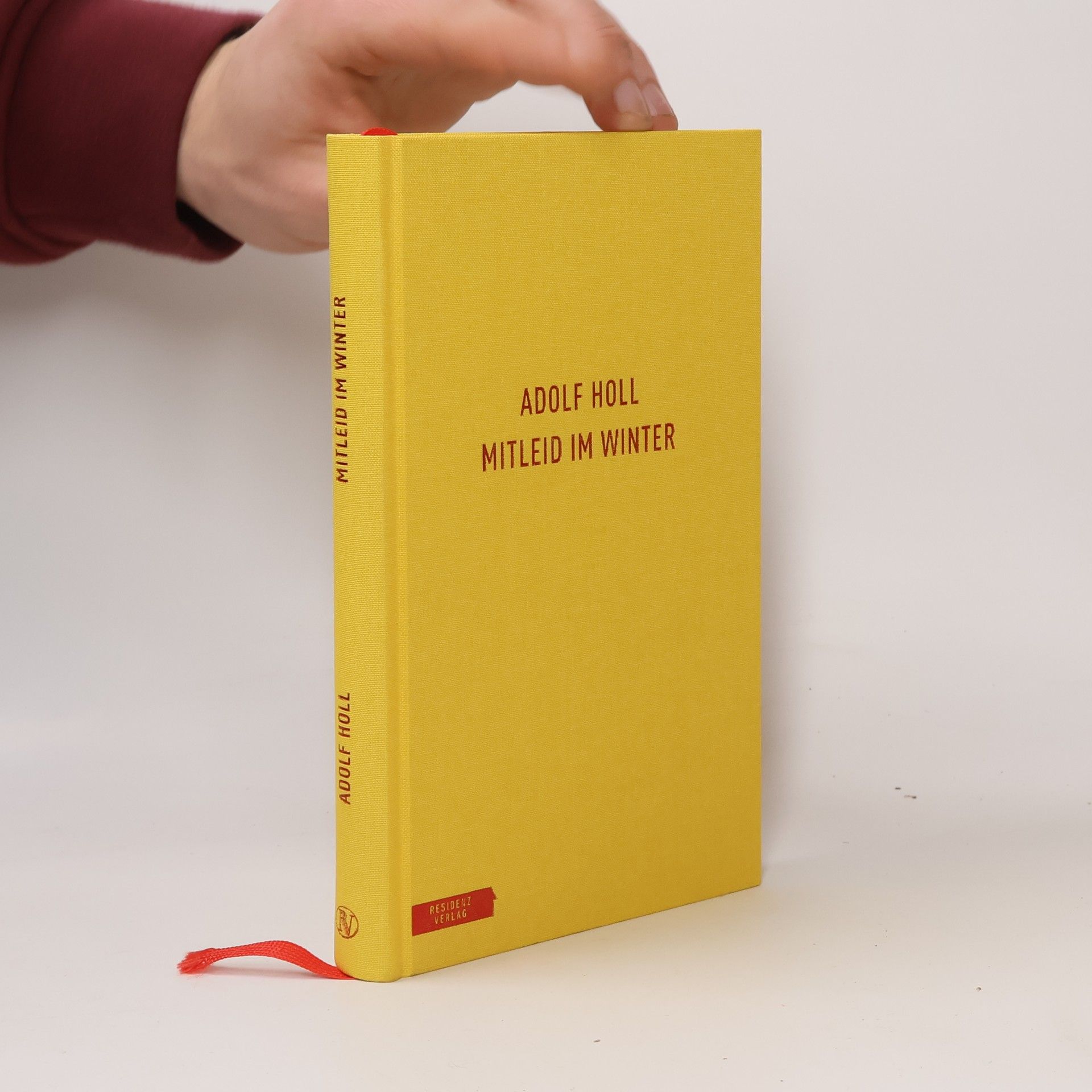 Adolf Holl Mitleid im Winter