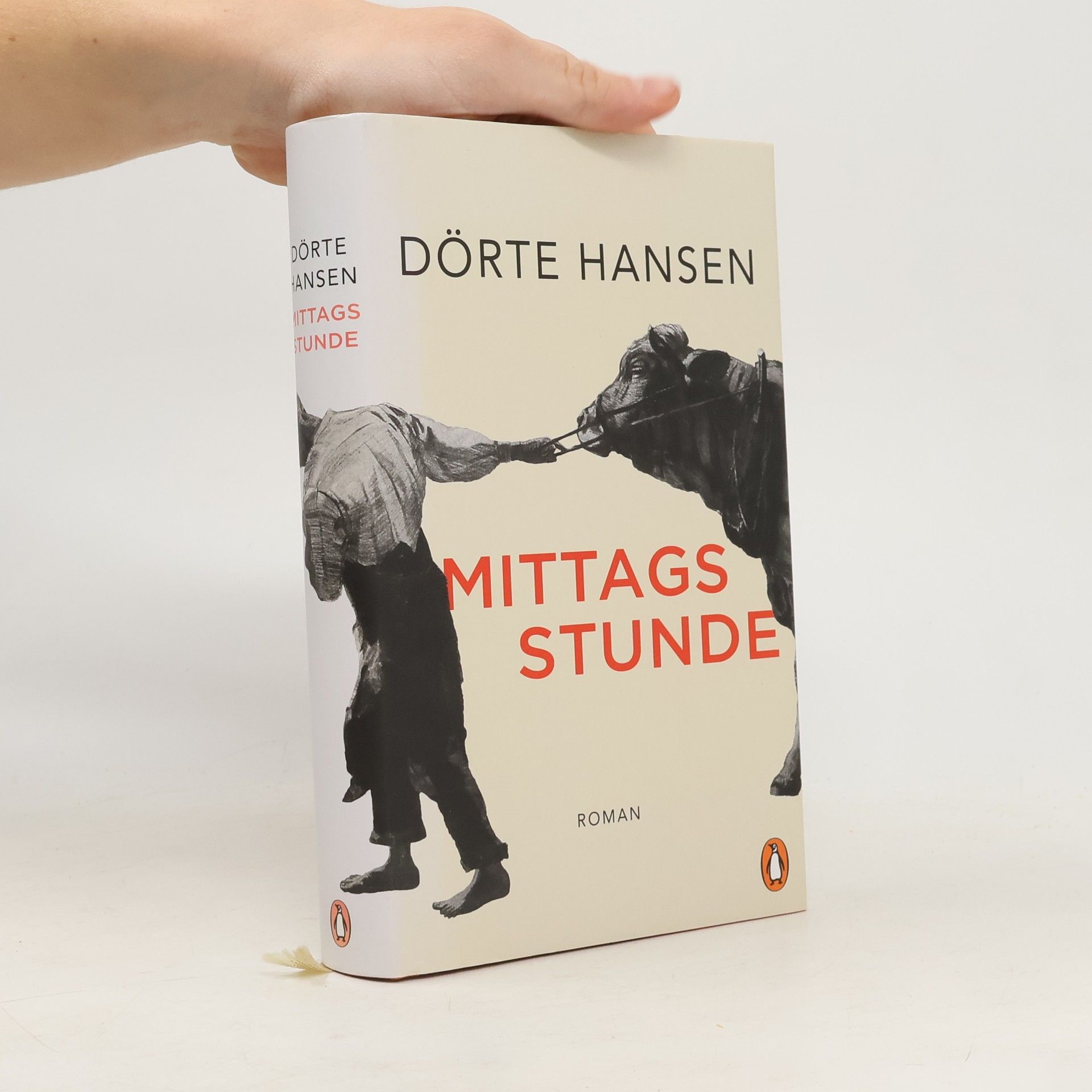 Dörte Hansen Mittagsstunde