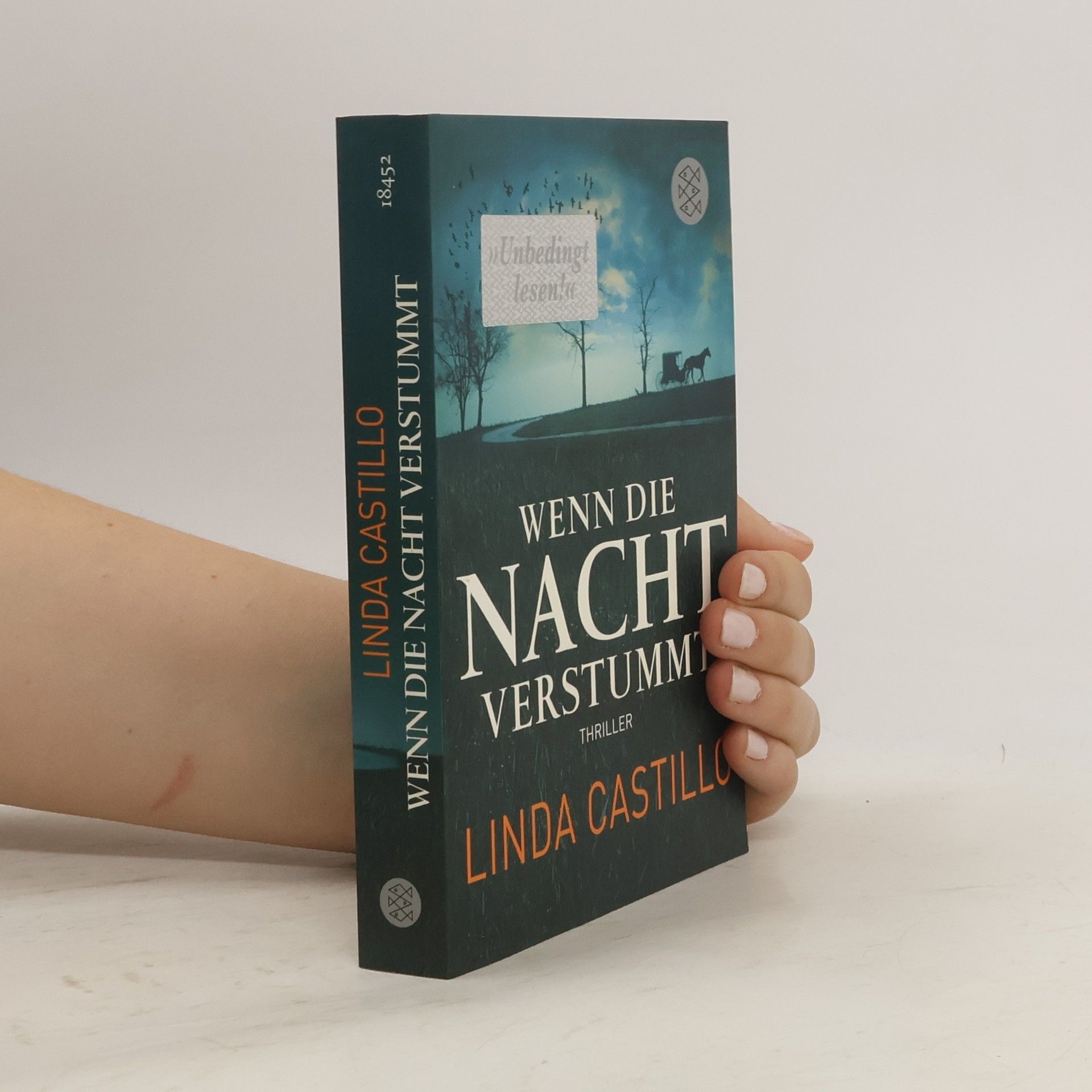 Linda Castillo Wenn die Nacht verstummt