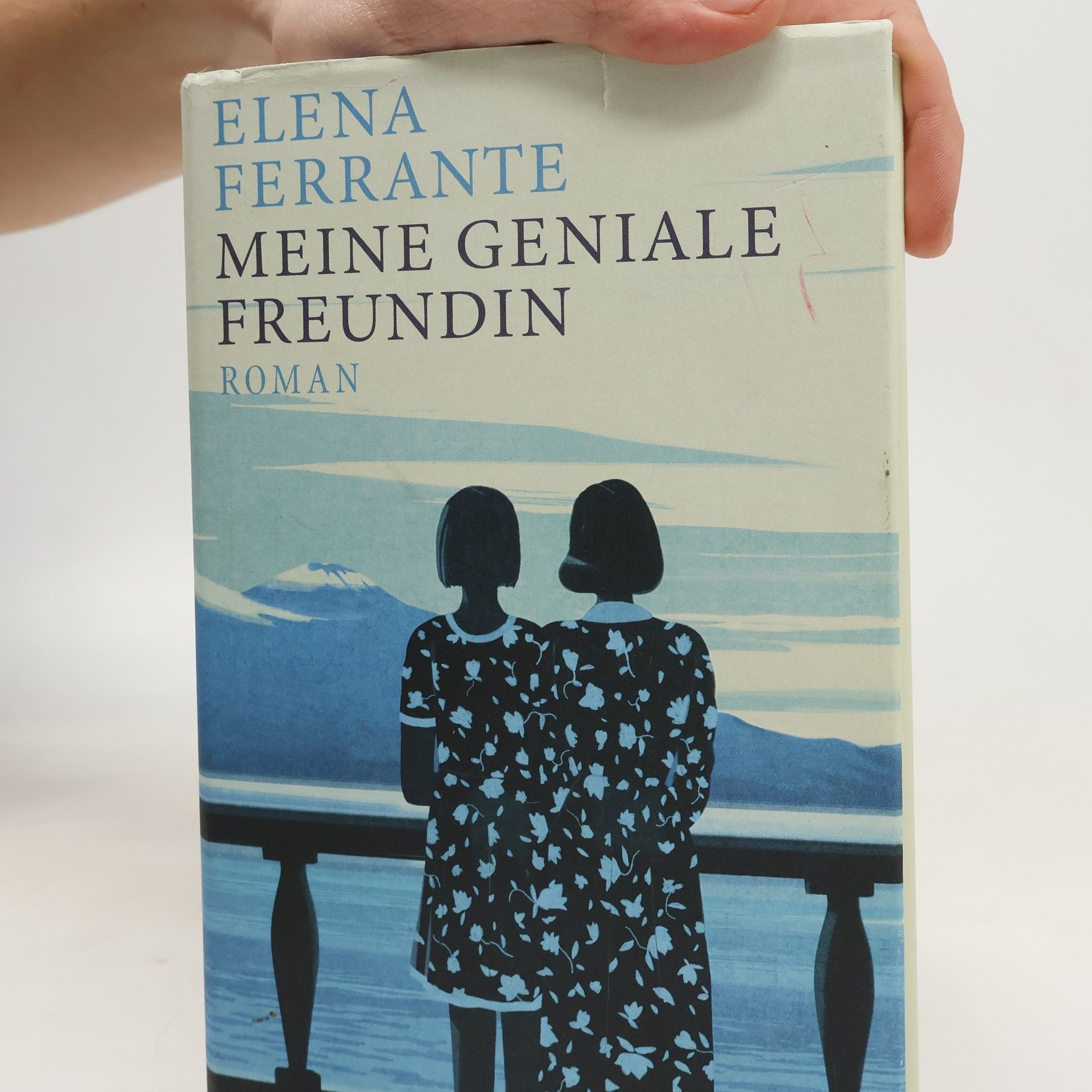 Elena Ferrante Meine geniale Freundin