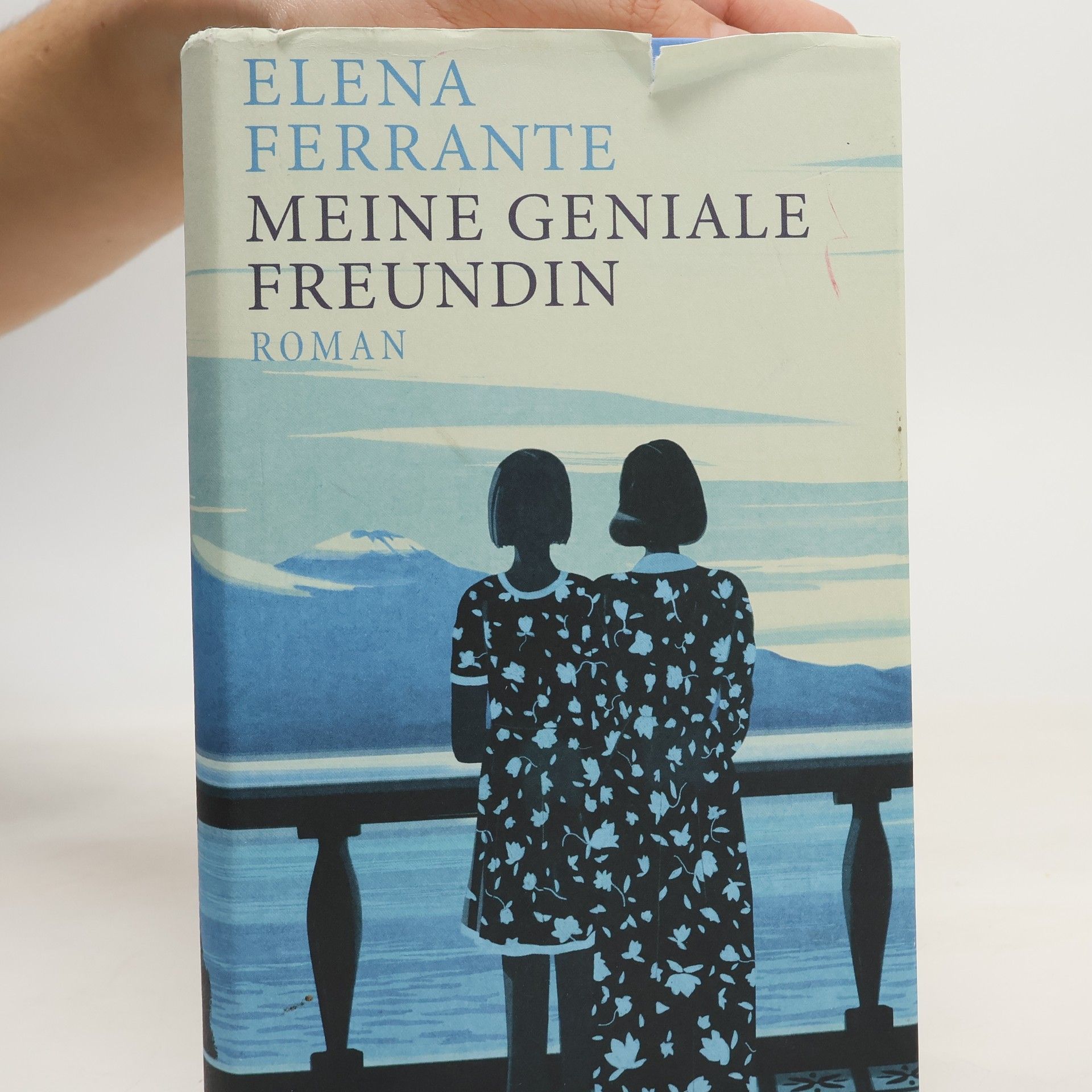 Elena Ferrante Meine geniale Freundin