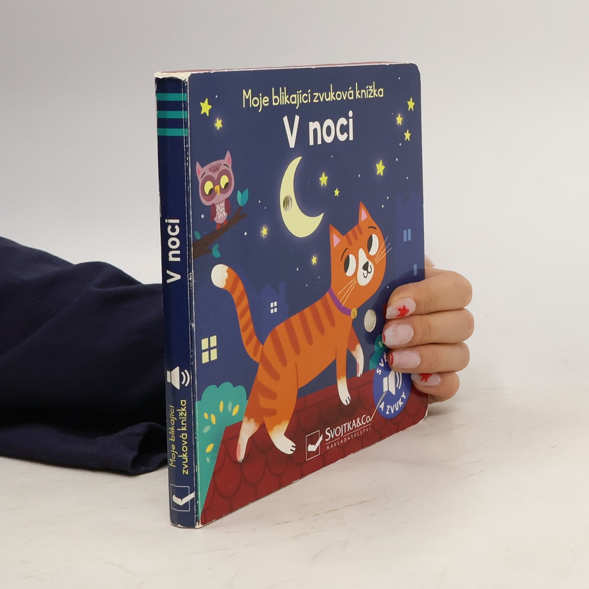 Svojtka&Co. Moje blikající zvuková knížka V noci