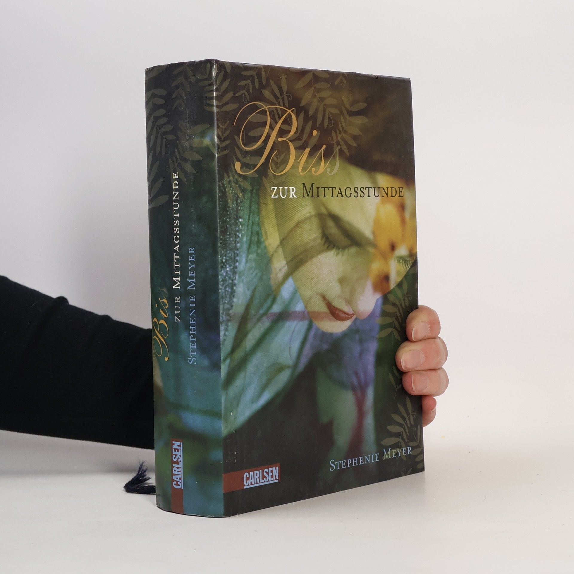 Stephenie Meyer Biss zur Mittagsstunde