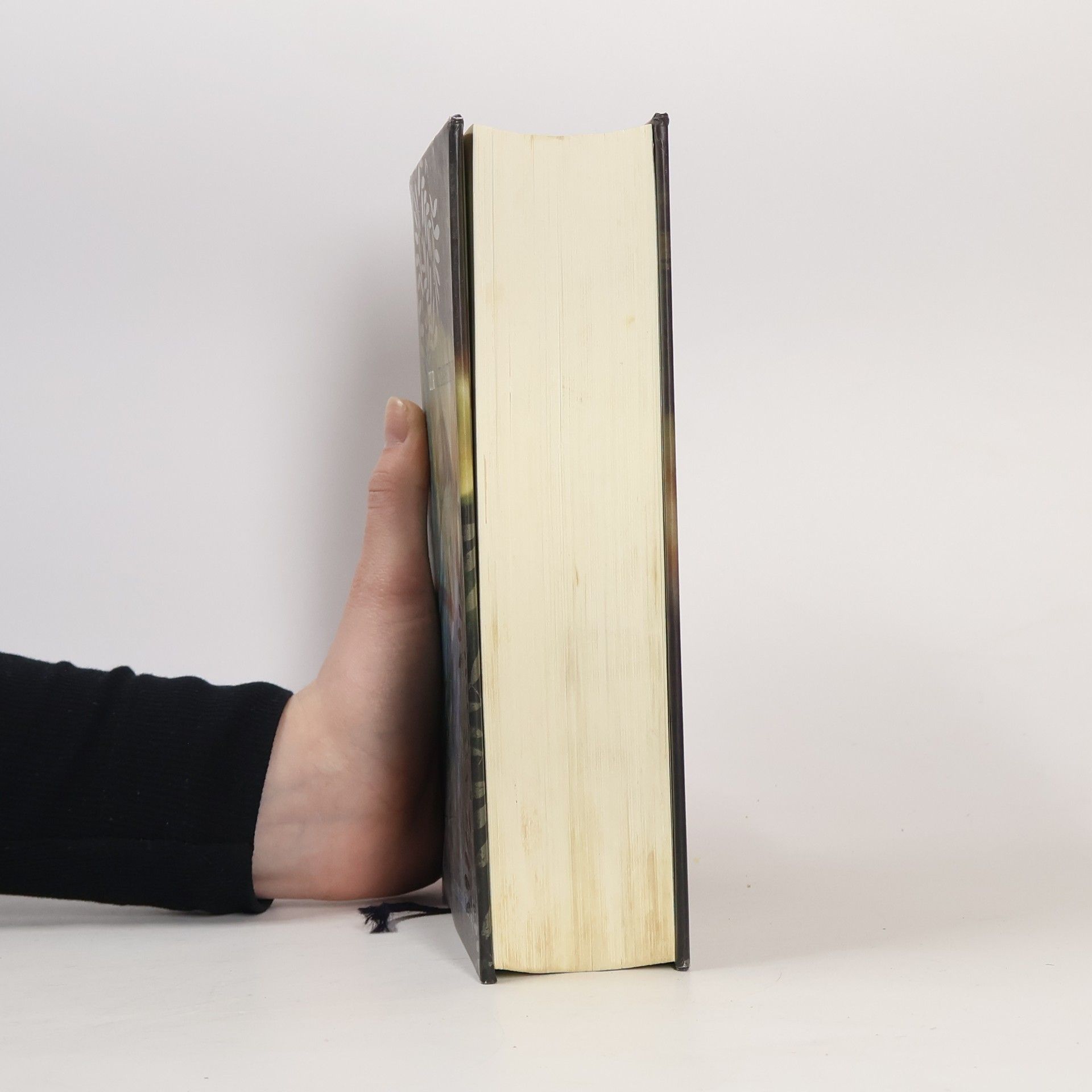 Stephenie Meyer Biss zur Mittagsstunde