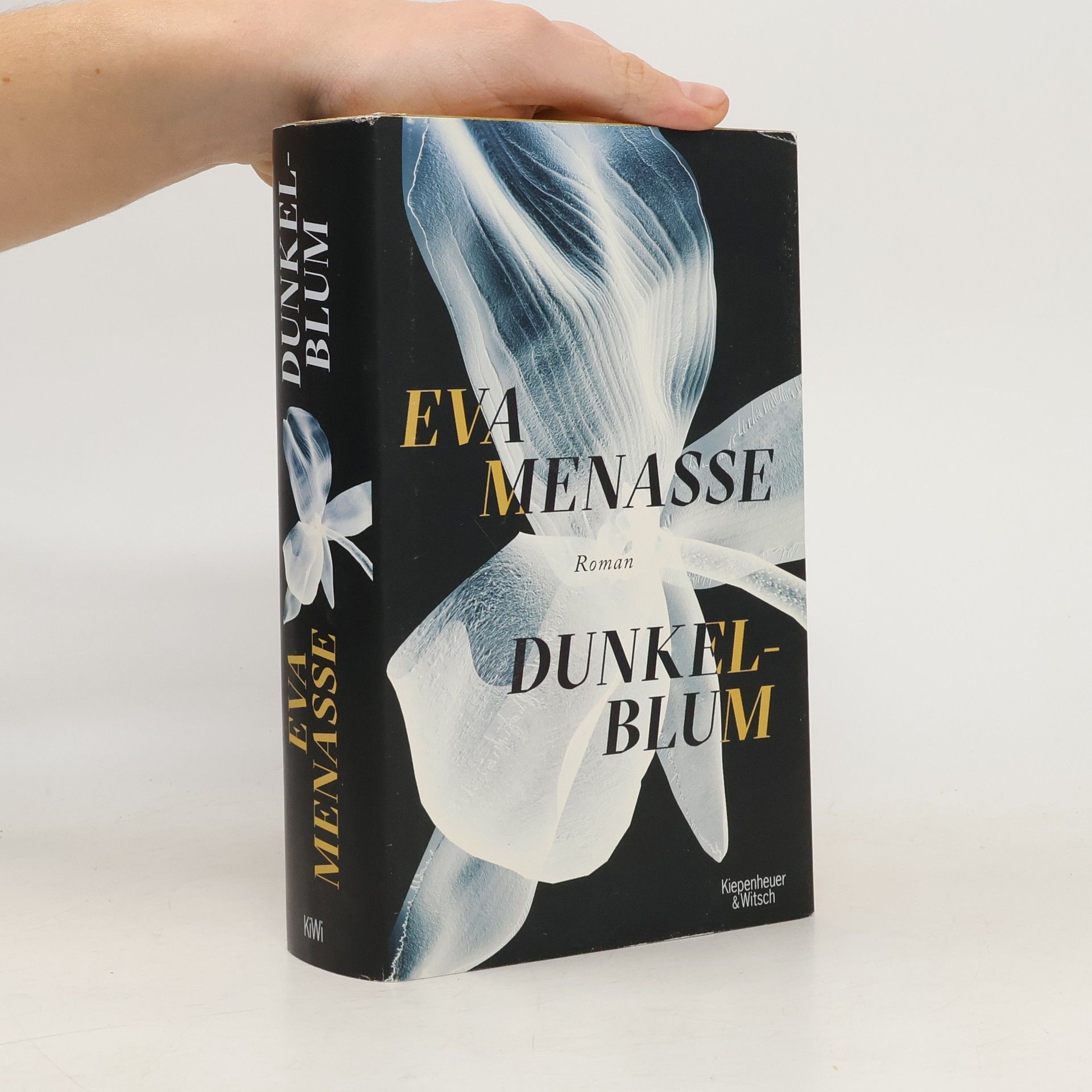 Eva Menasse Dunkelblum