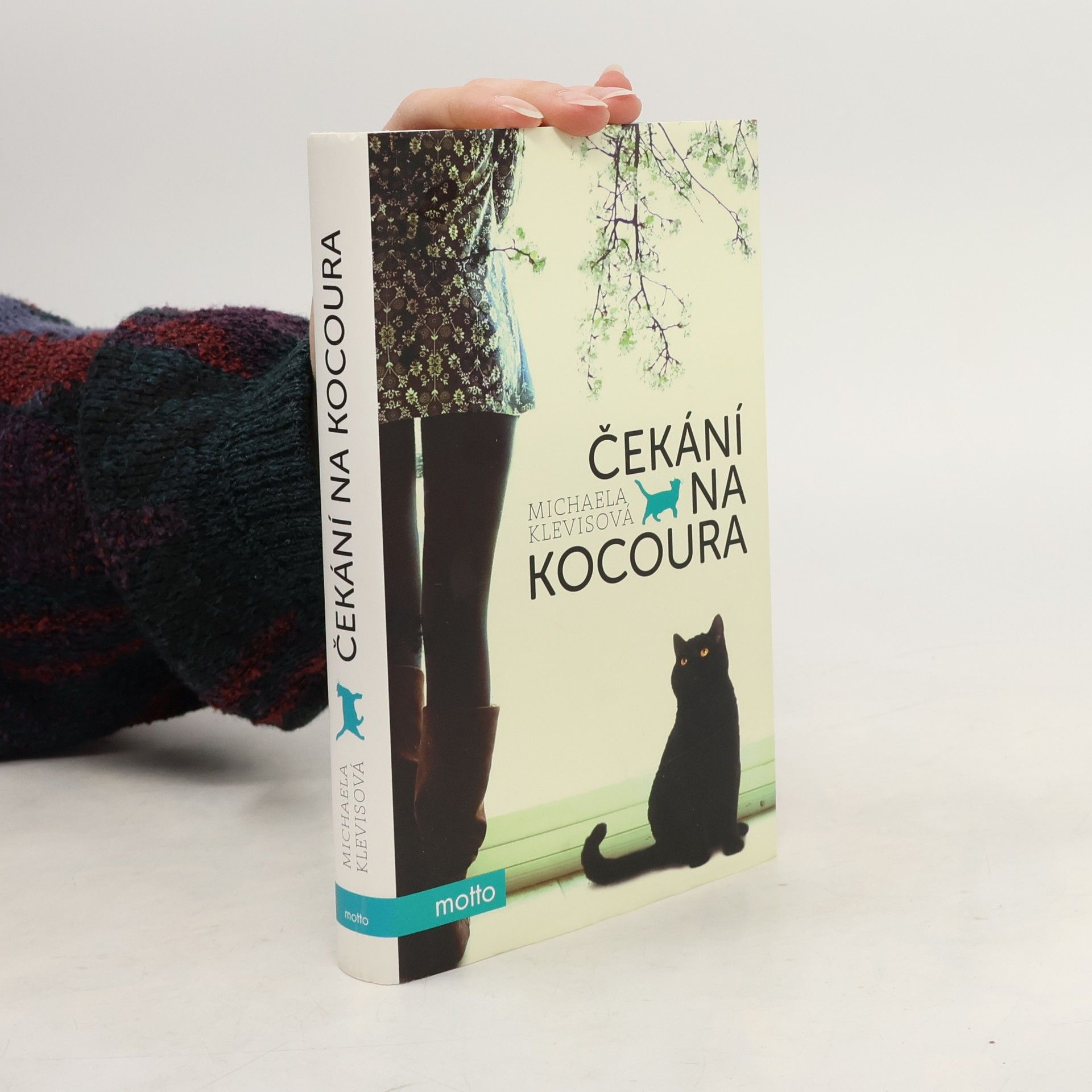 Michaela Klevisová Čekání na kocoura: Příběhy o kočkách a jejich lidech