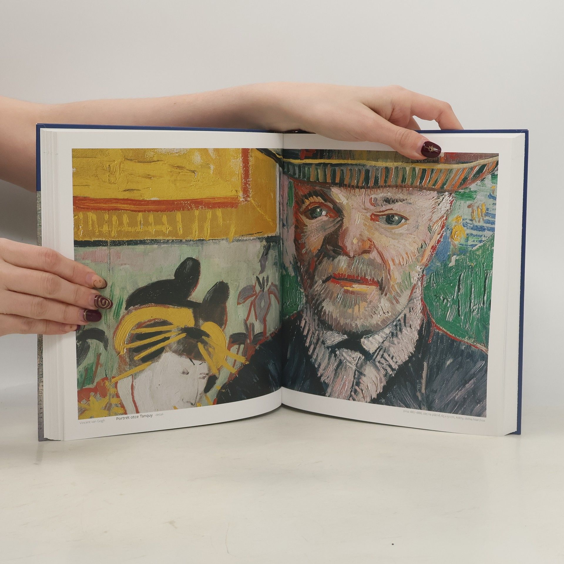 Cristina Sirigatti Vincent van Gogh : život, osobnost a dílo