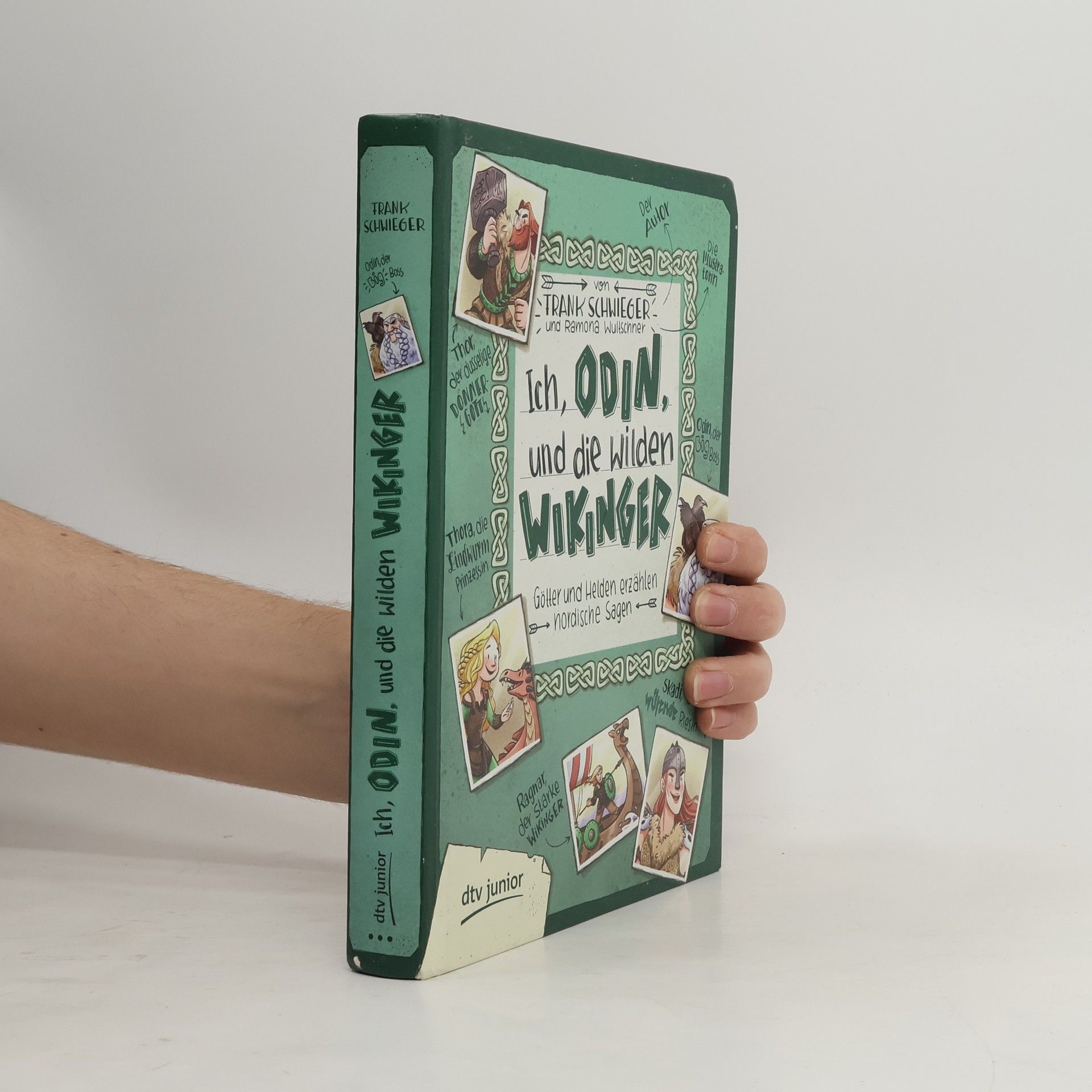 Frank Schwieger Ich, Odin, und die wilden Wikinger