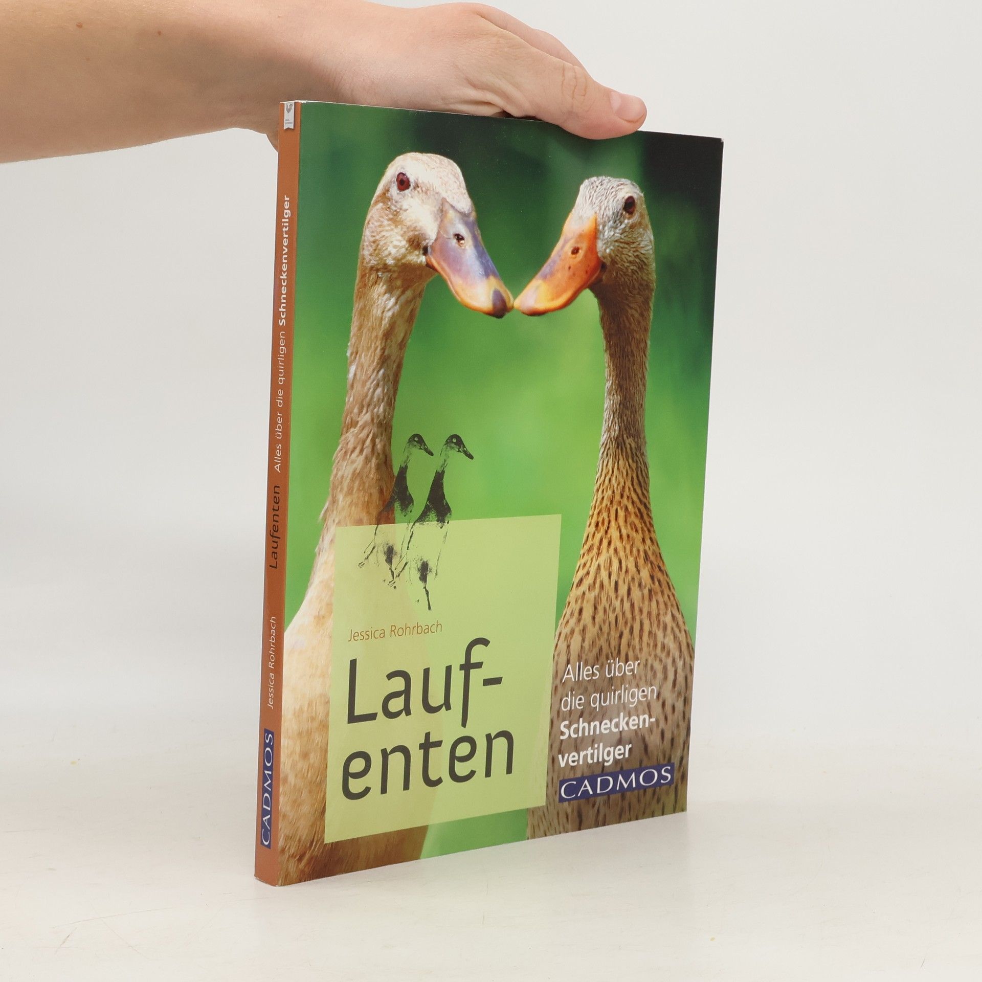 Jessica Rohrbach Laufenten