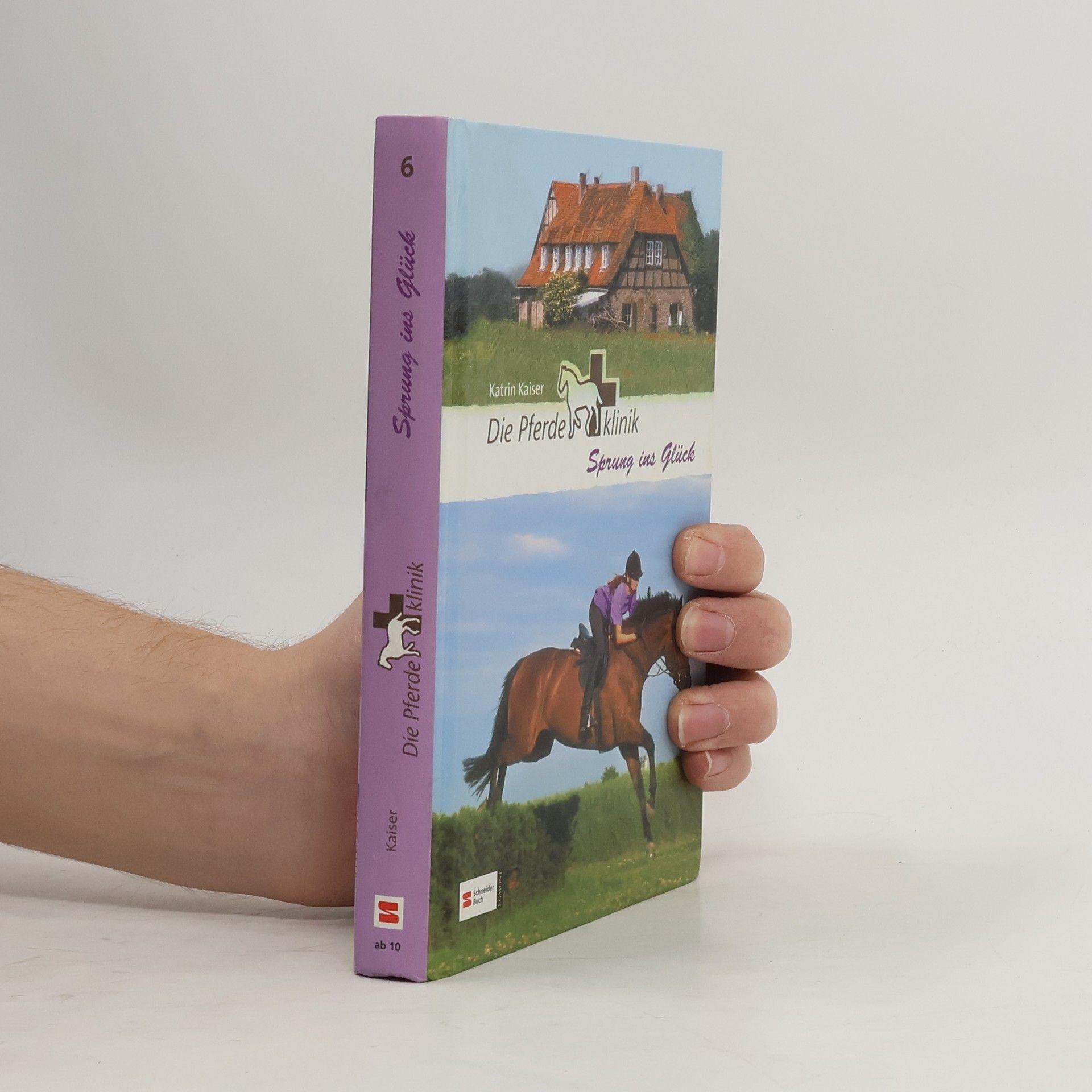 Katrin Kaiser Die Pferdeklinik, Band 06. Sprung ins Glück