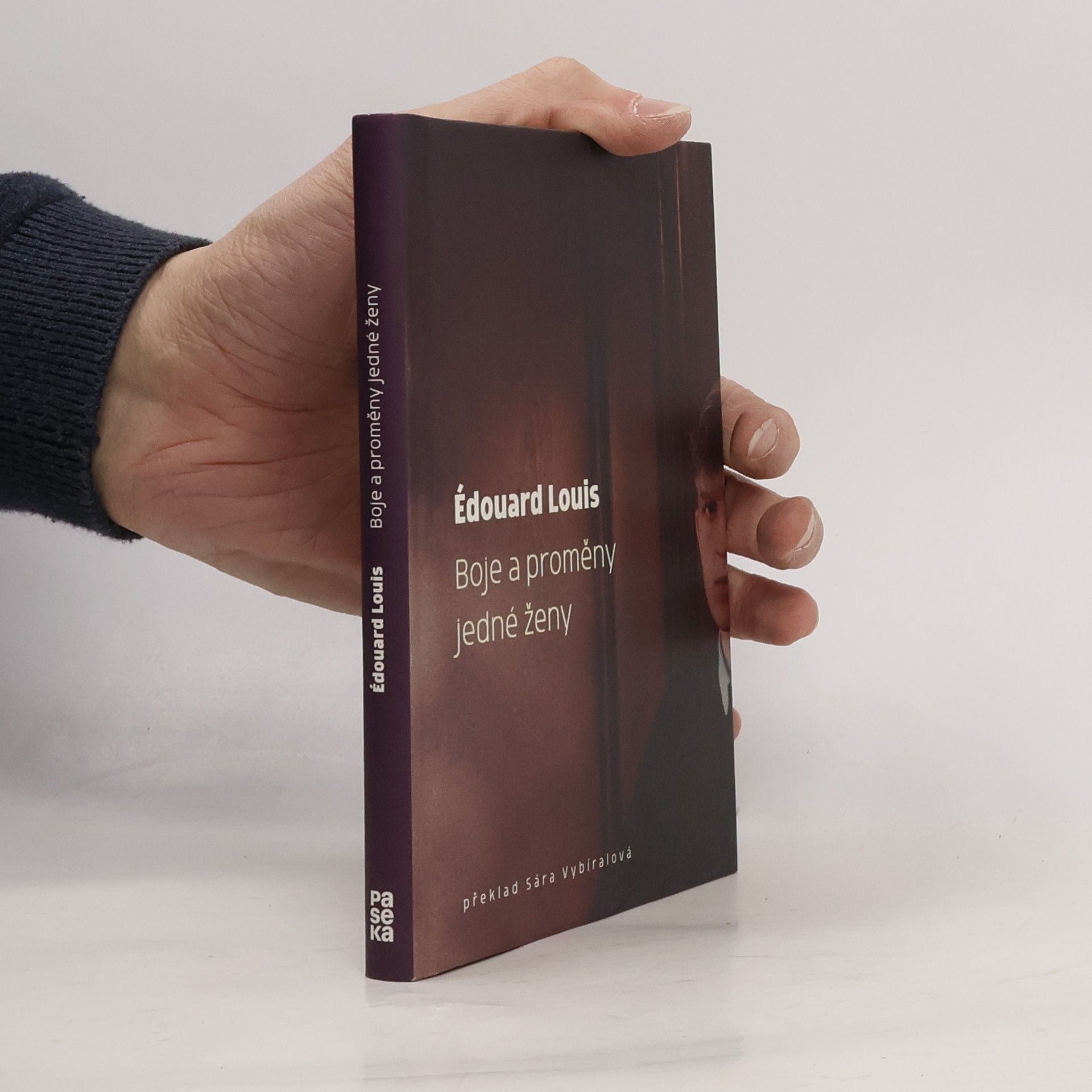 Édouard Louis Boje a proměny jedné ženy