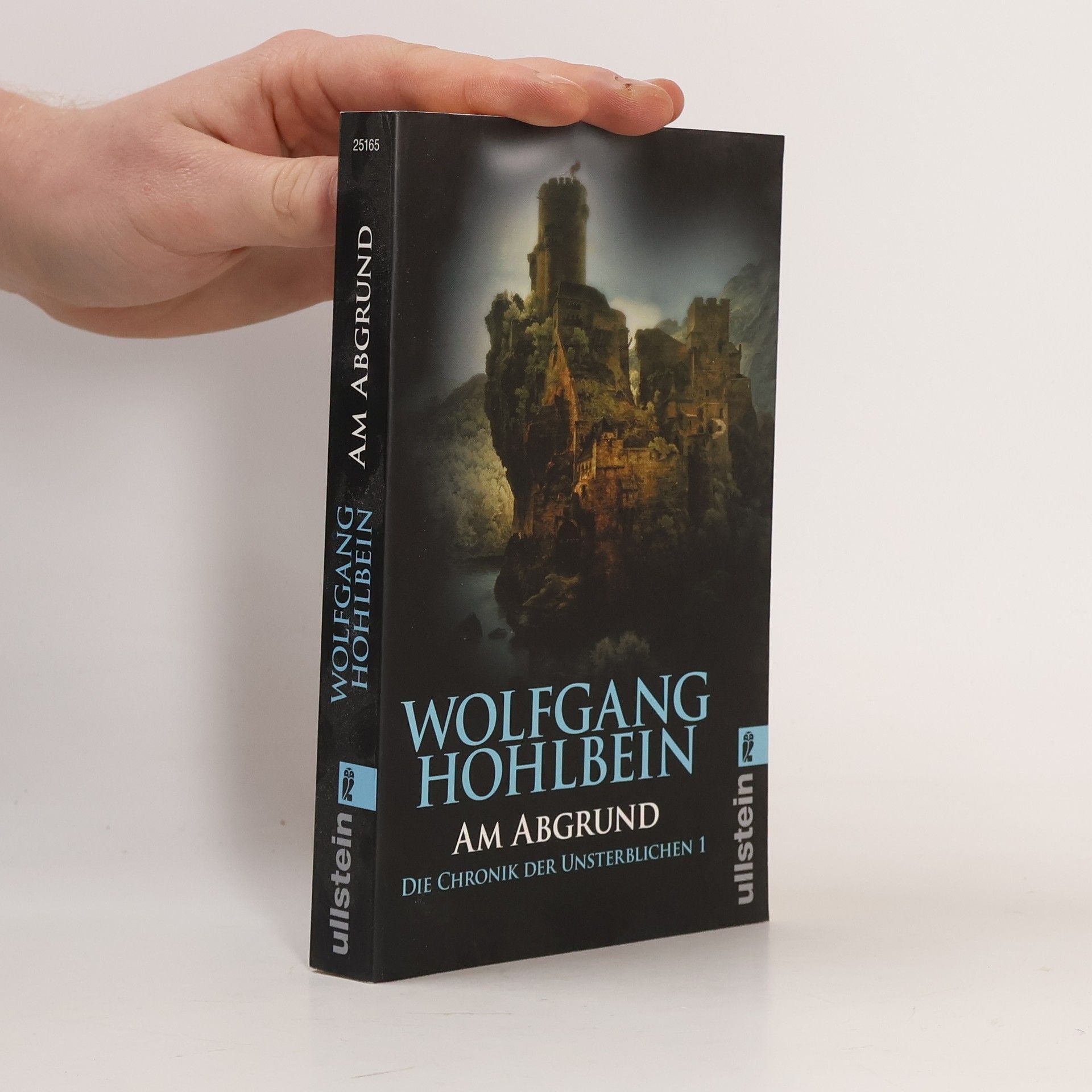 Wolfgang Hohlbein Die Chronik der Unsterblichen. Am Abgrund