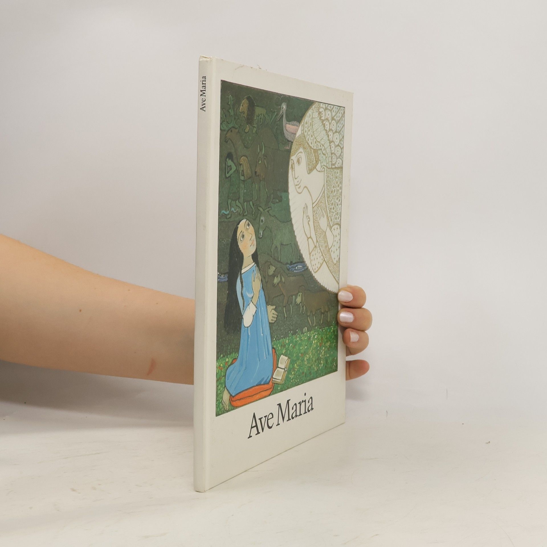 Kolektiv autorů Ave Maria