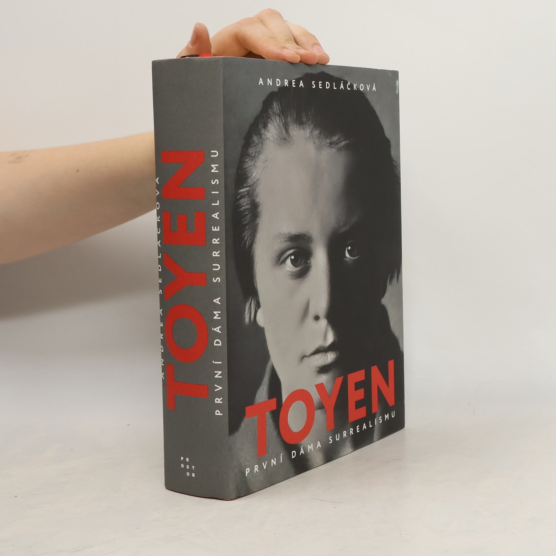 Andrea Sedláčková Toyen: první dáma surrealismu