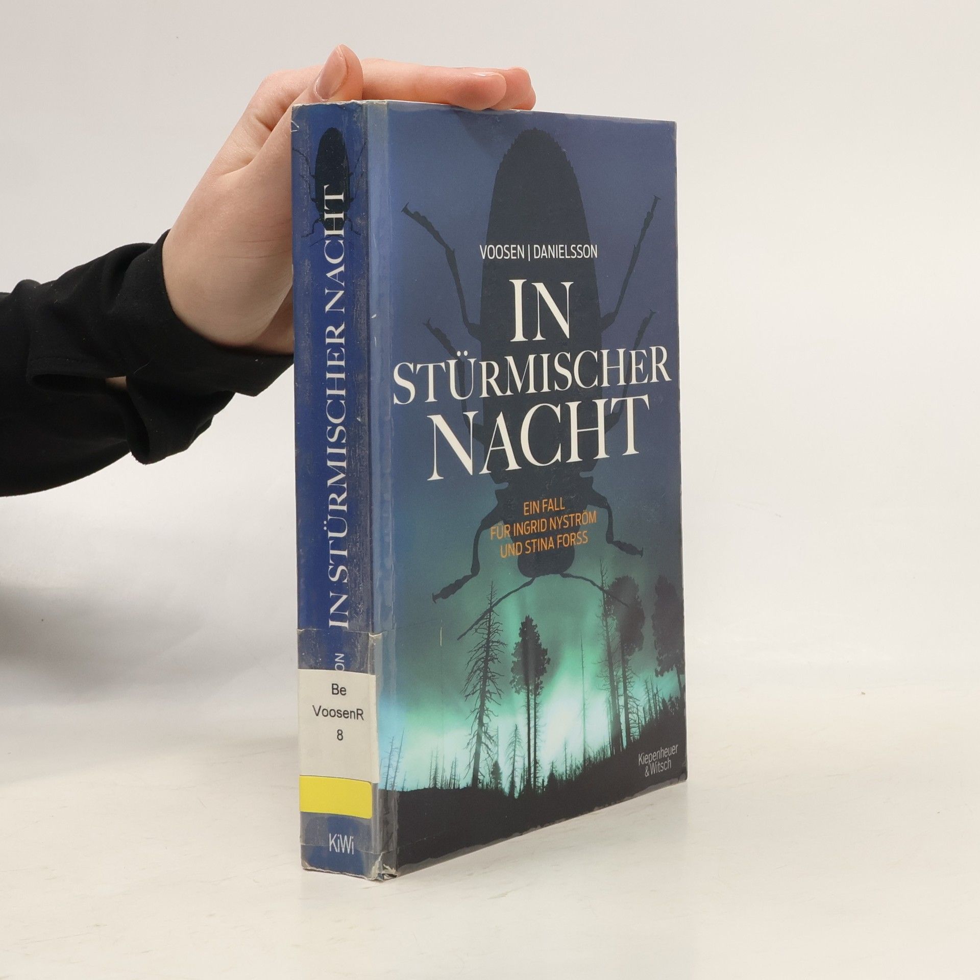 Roman Voosen In stürmischer Nacht