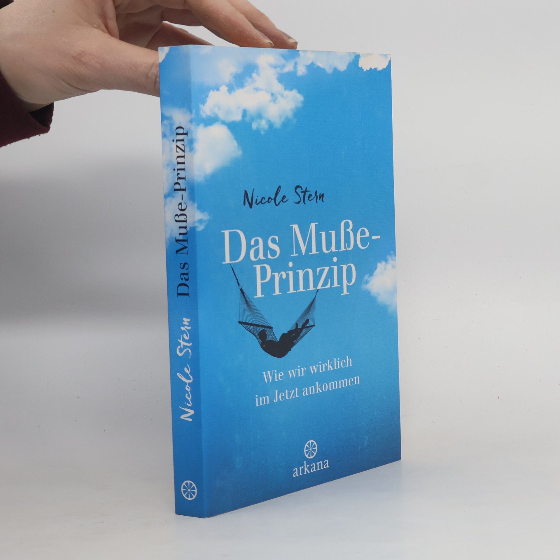 Nicole Stern Das Muße-Prinzip