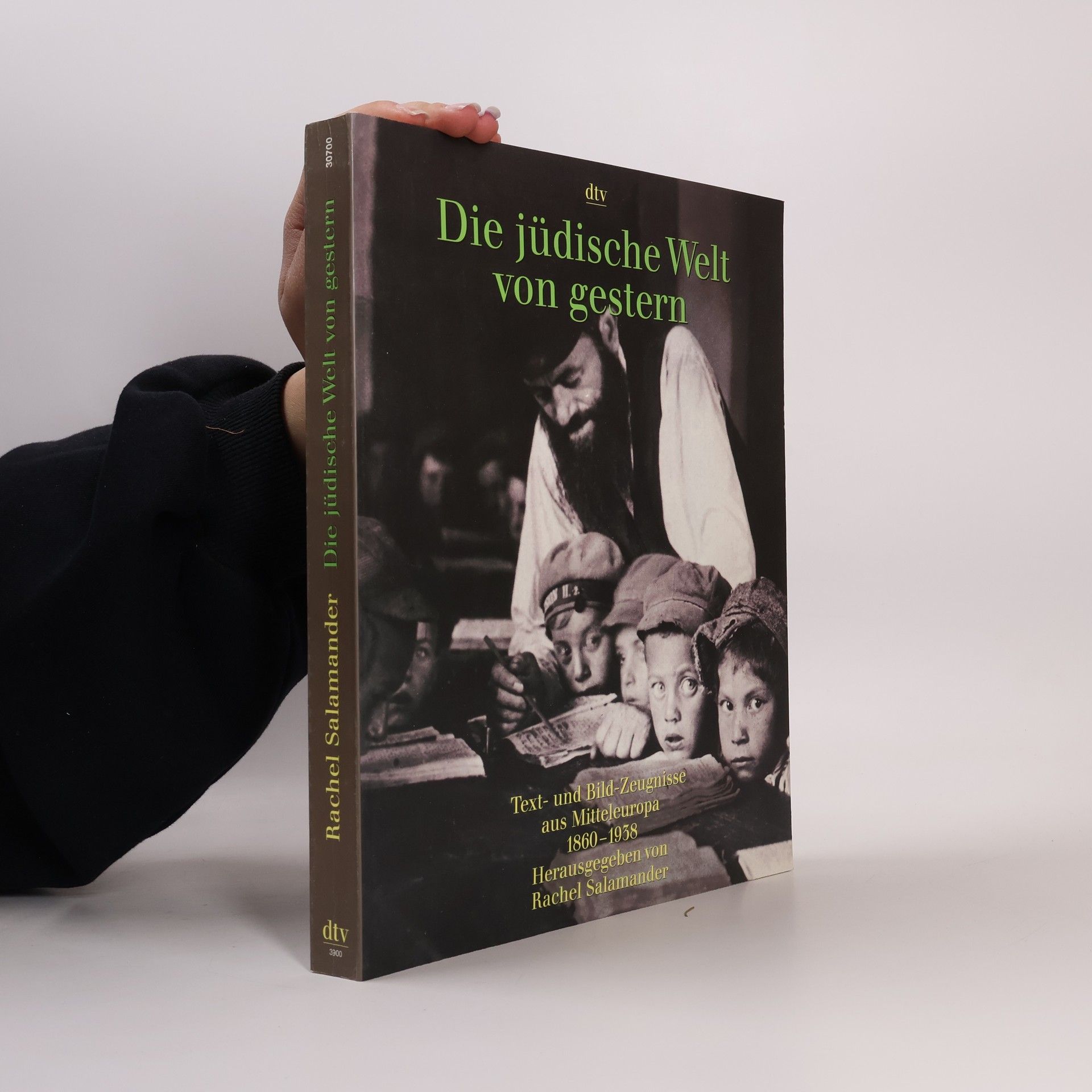 Rachel Salamander Die jüdische Welt von gestern 1860-1938 : Text- und Bild-Zeugnisse aus Mitteleuropa