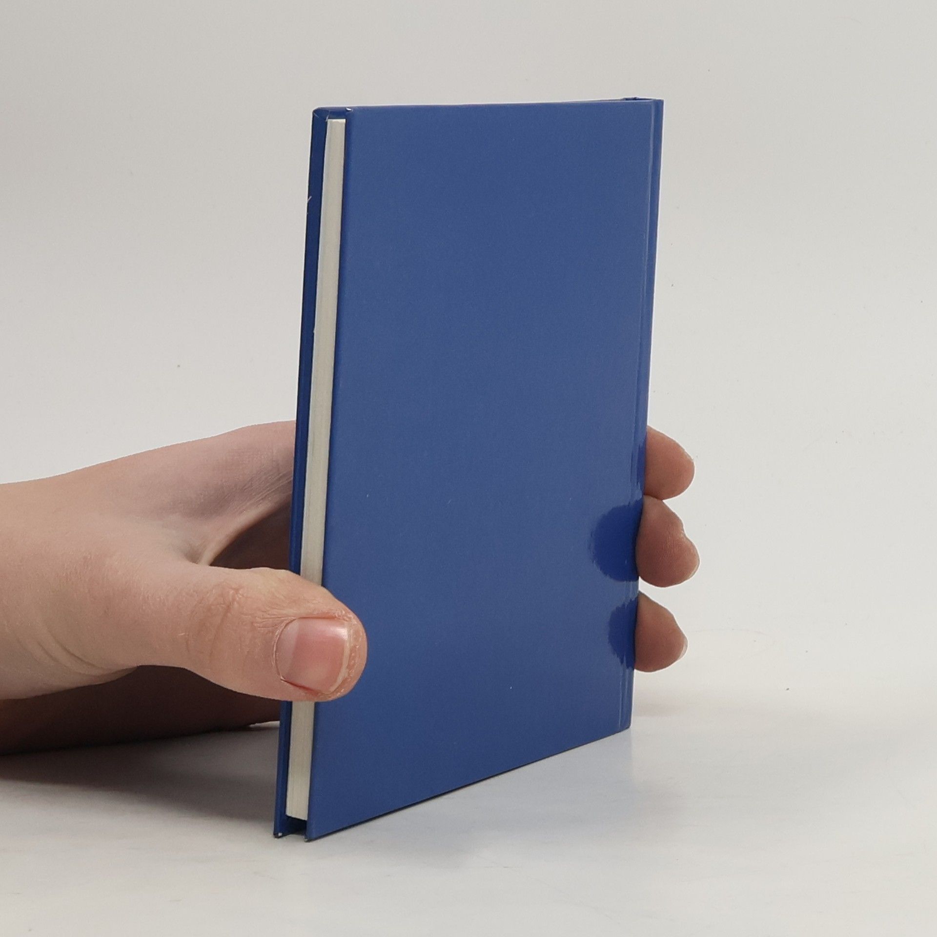 Bernhard Oberdieck Das kleine Buch der Stille