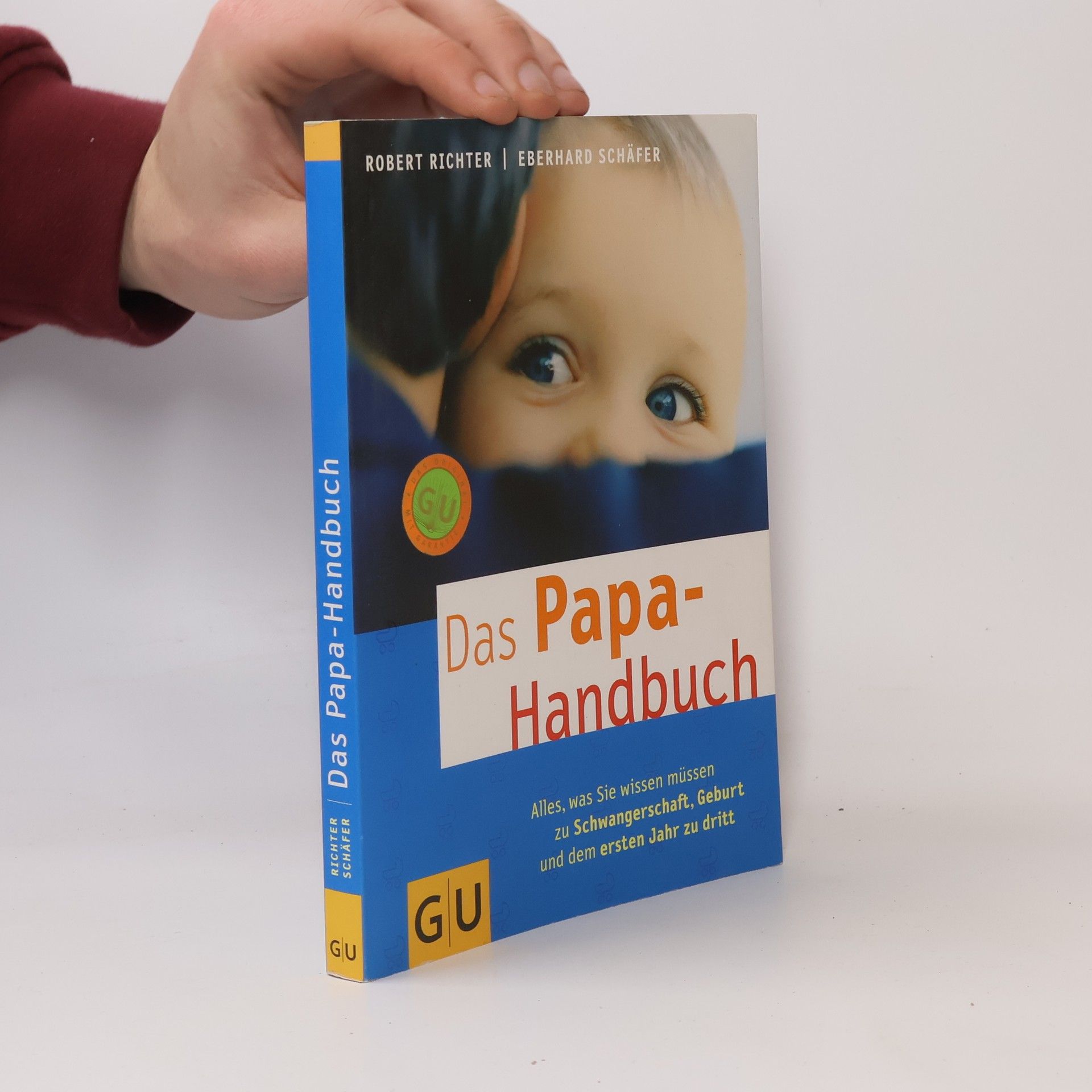 Robert Richter Das Papa-Handbuch
