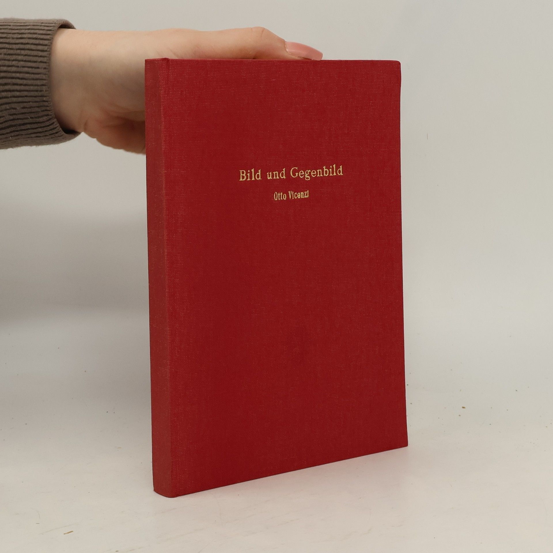 Otto Vicenzi Bild und Gegenbild
