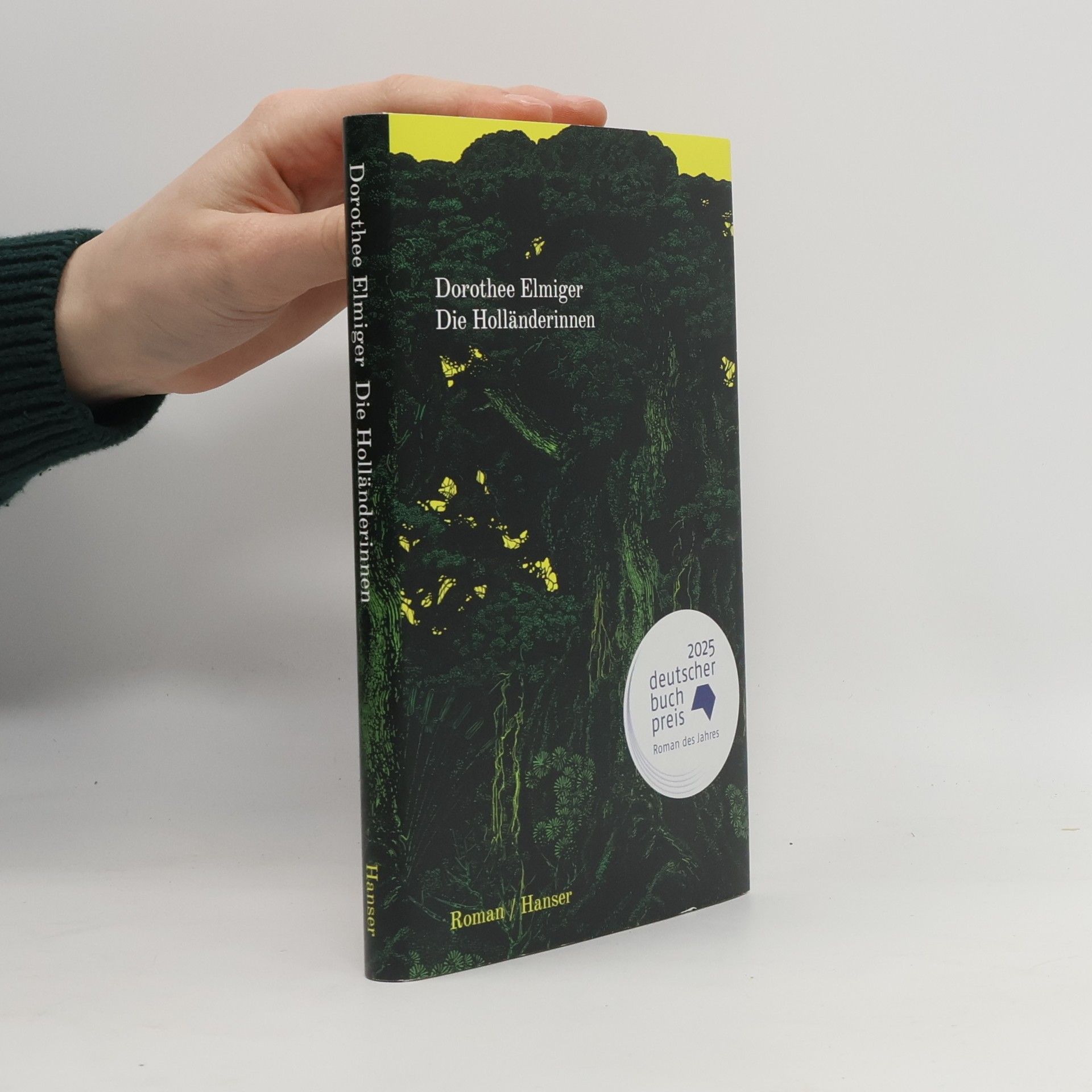 Dorothee Elmiger Die Holländerinnen