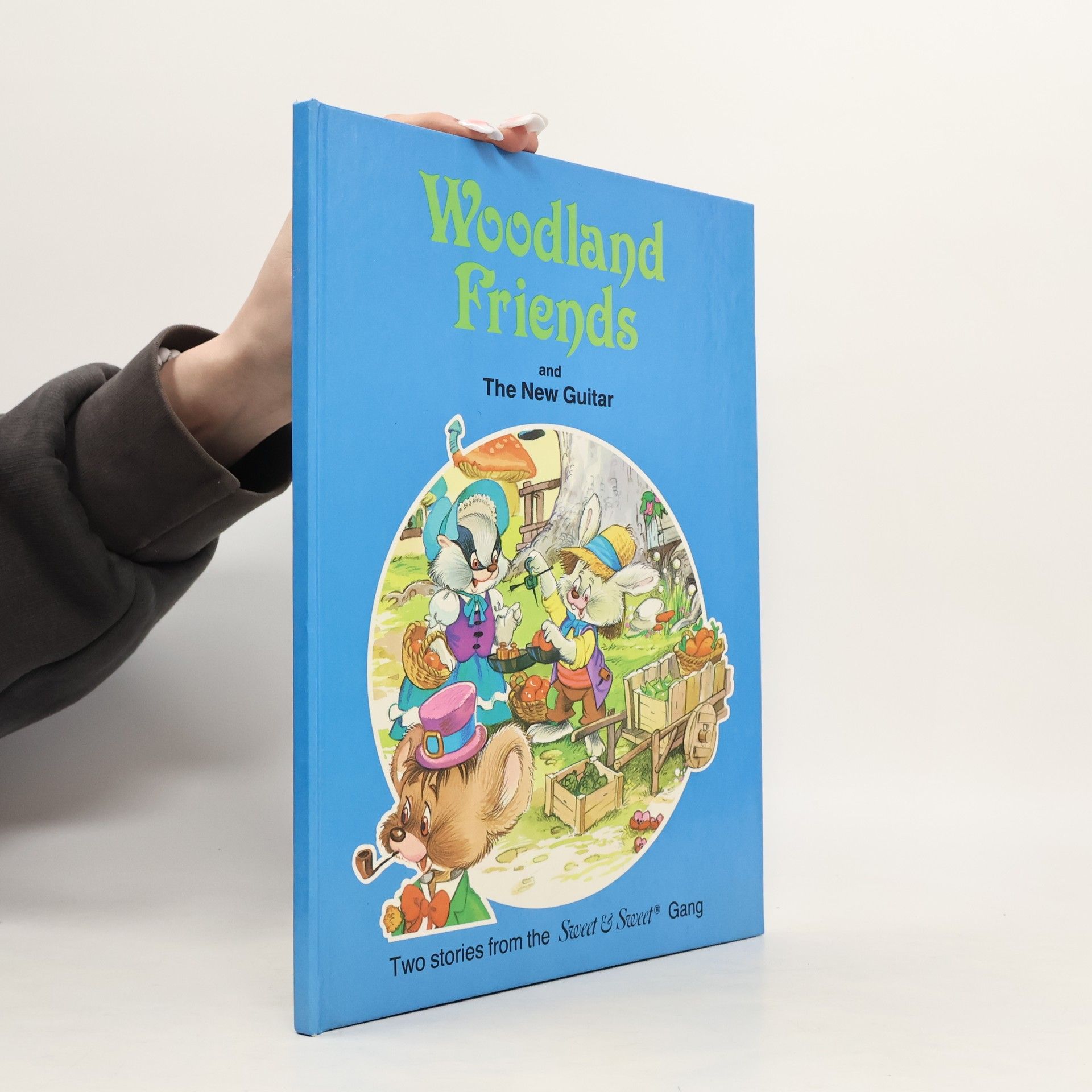 Autorenkollektiv Woodland Friends and The New Guitar