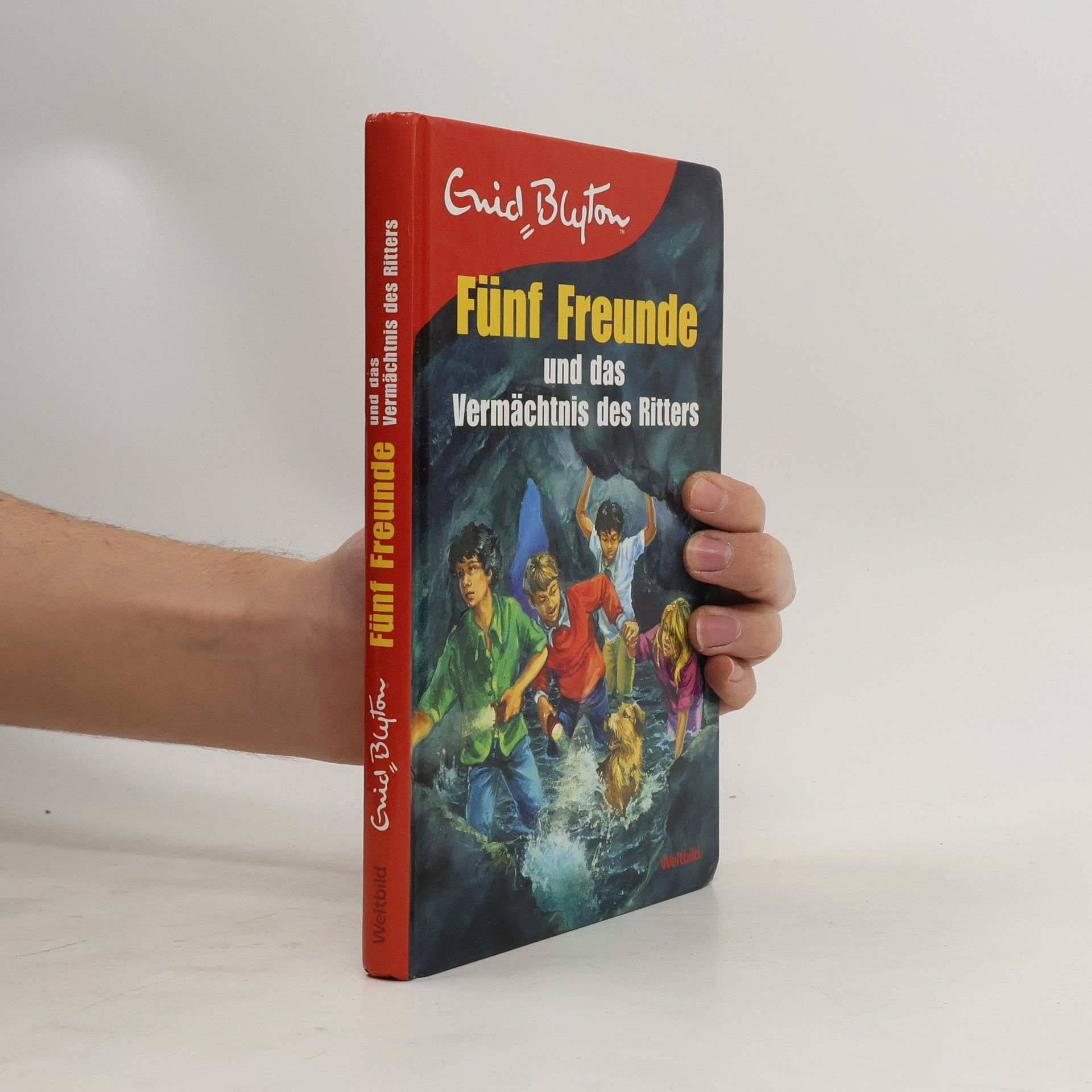 Enid Blyton Fünf Freunde suchen den verschollenen Goldschatz