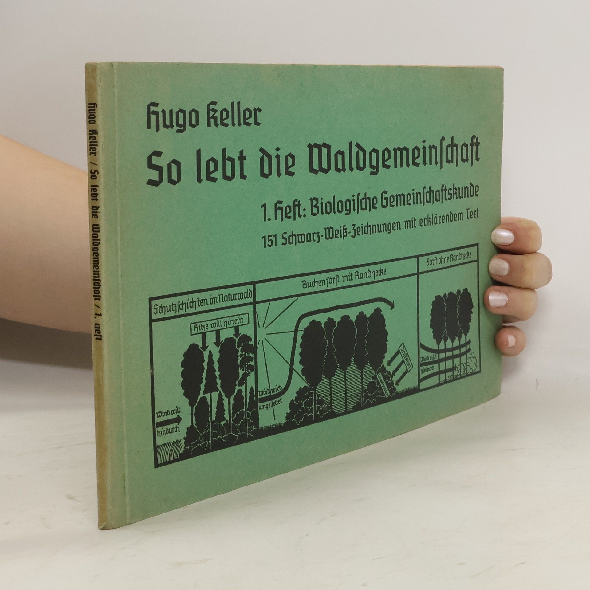 Hugo Keller So lebt die Waldgemeinschaft