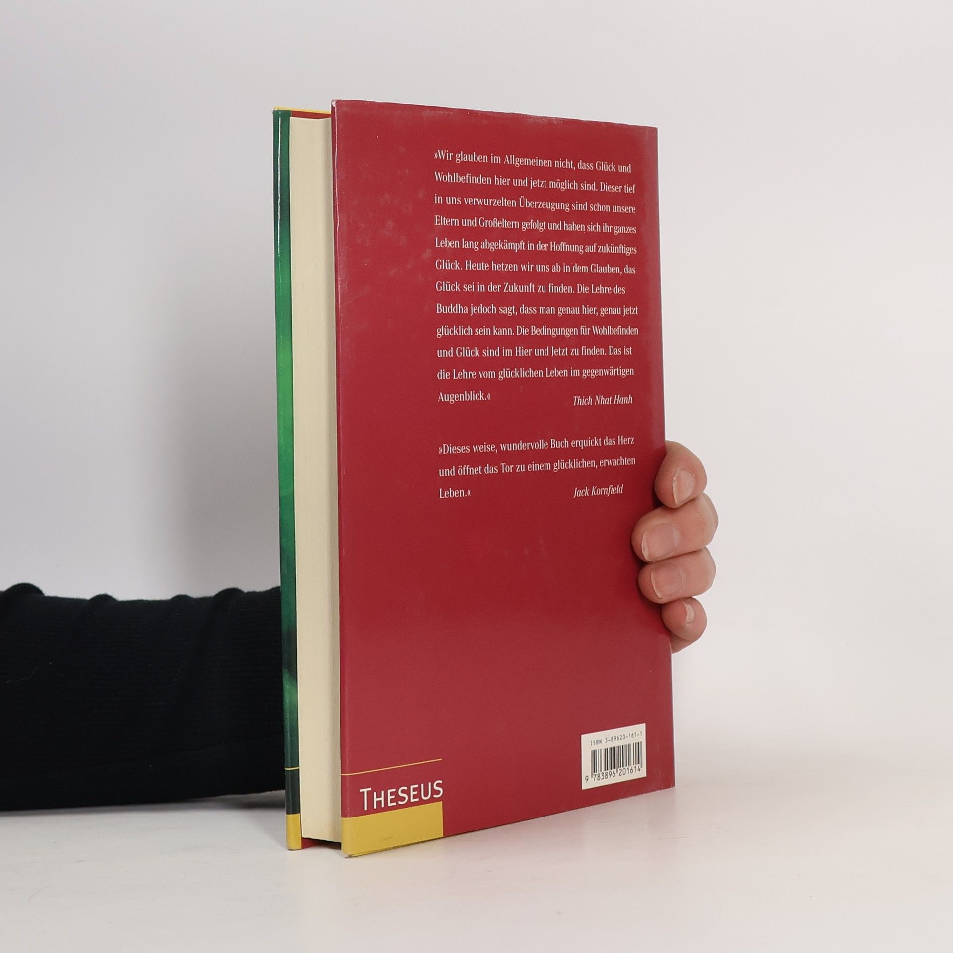 Thích Nhất Hạnh Die Kunst des glücklichen Lebens