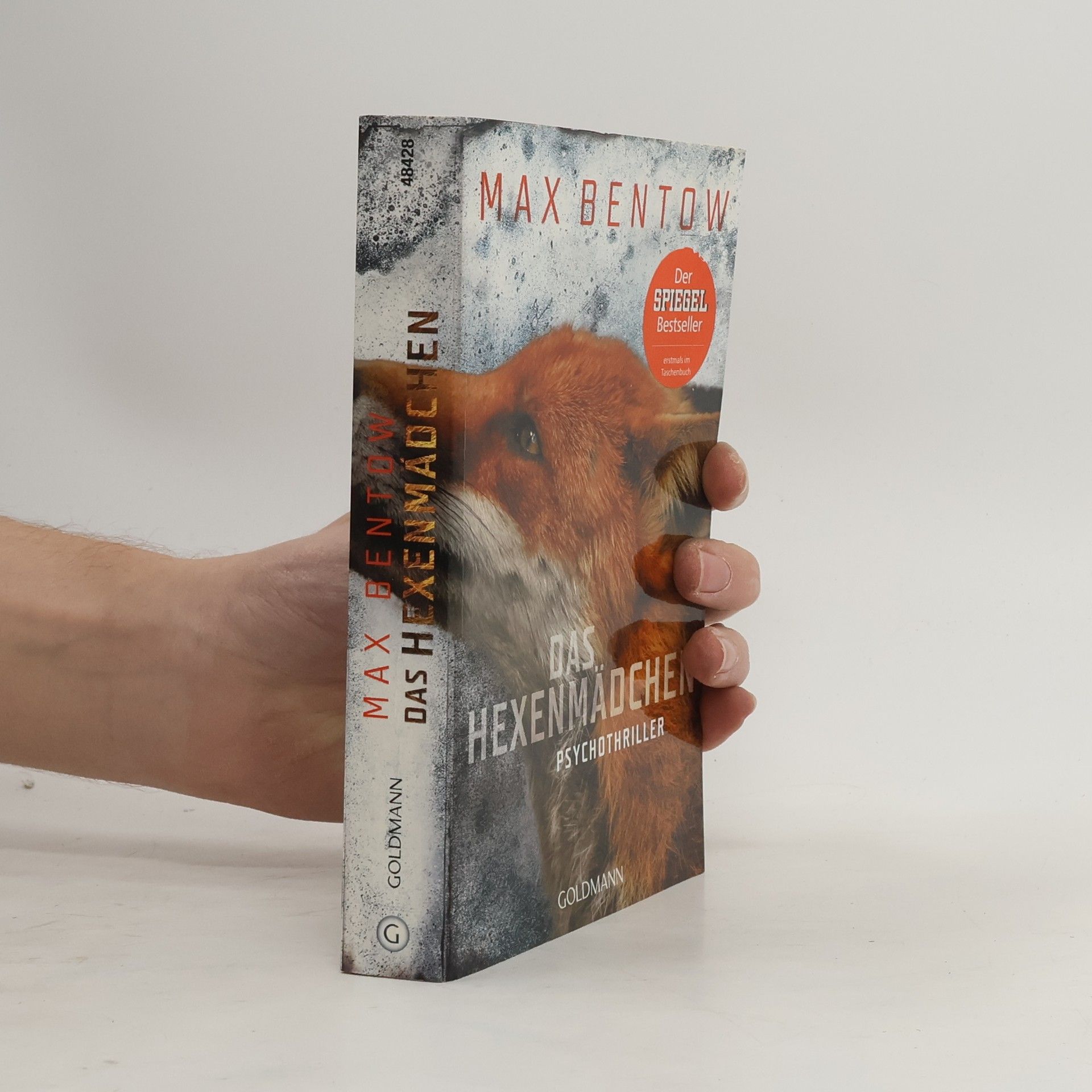 Max Bentow Das Hexenmädchen