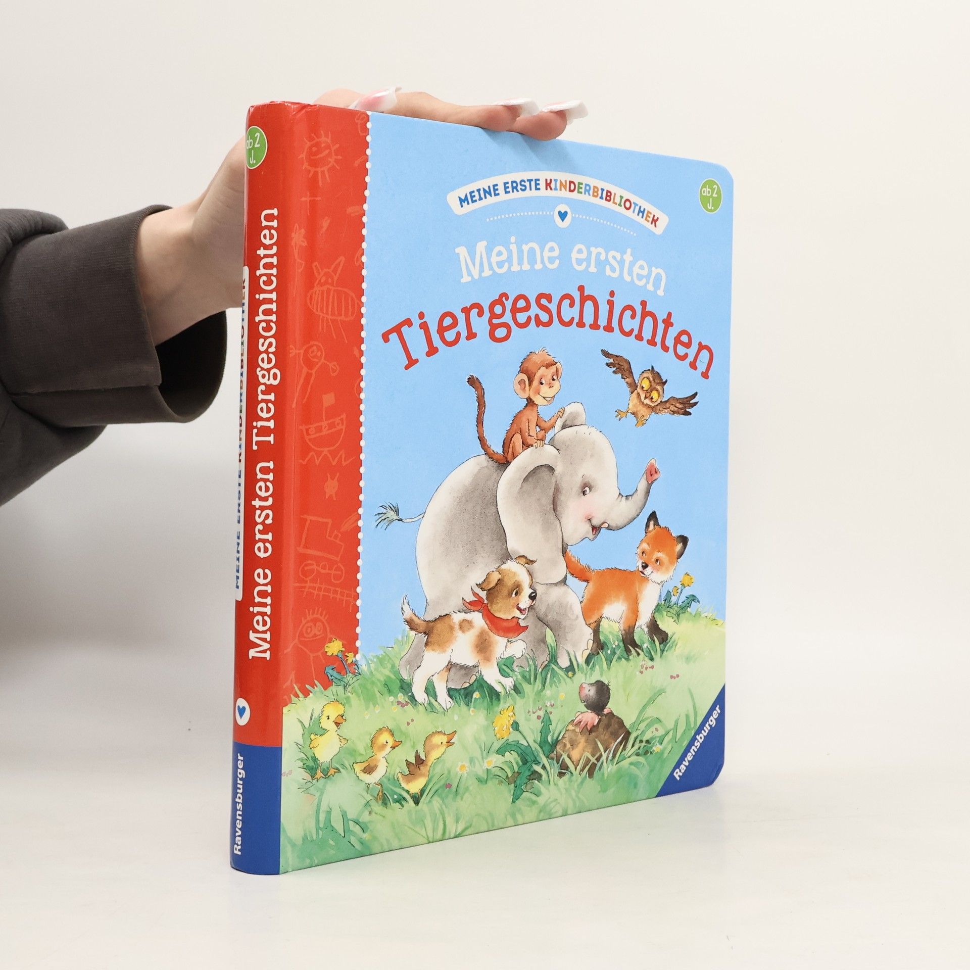 Sandra Grimm Meine ersten Tier-Geschichten