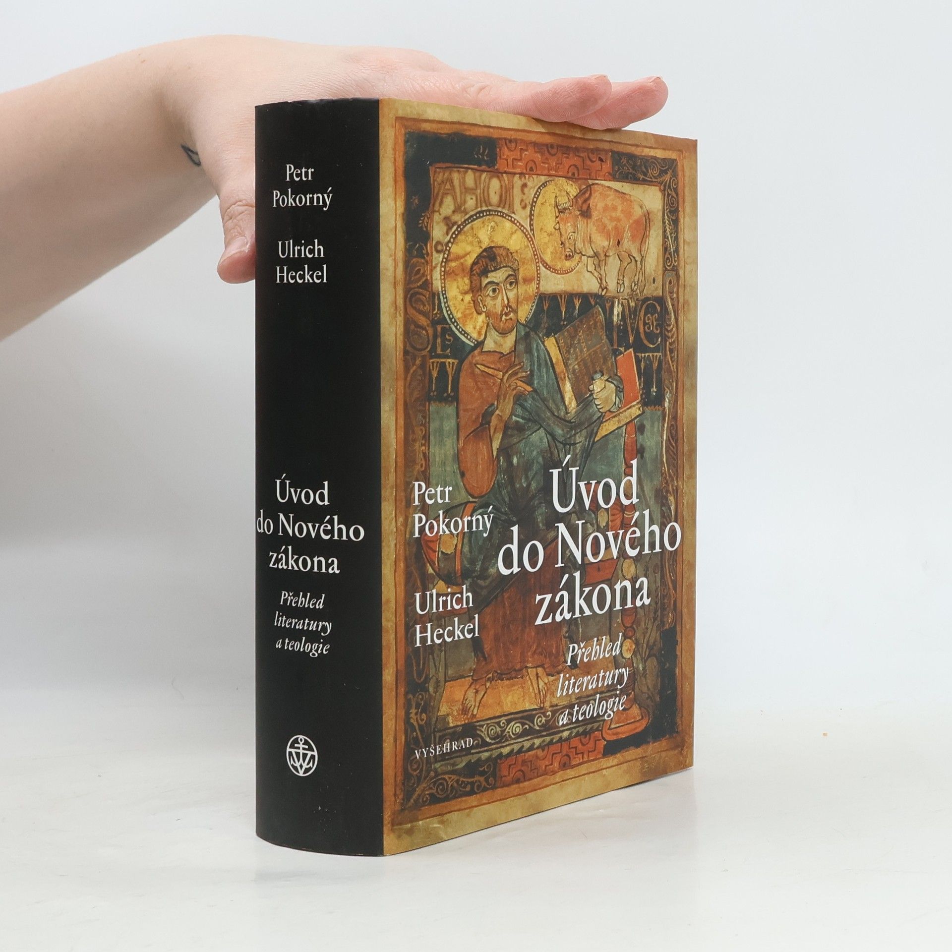 Petr Pokorný Úvod do Nového zákona : přehled literatury a teologie