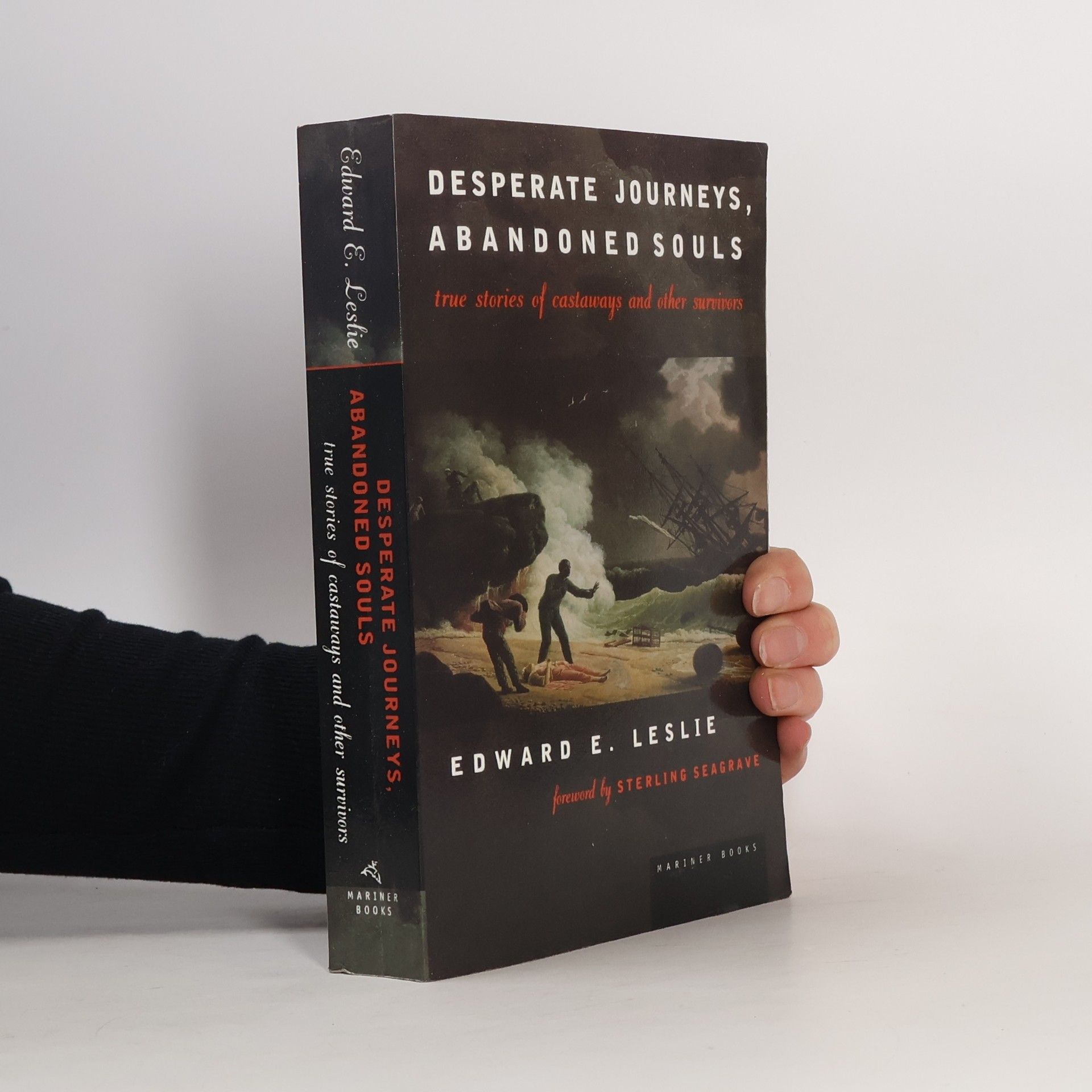 Edward E. Leslie Desperate Journeys, Abandoned Souls