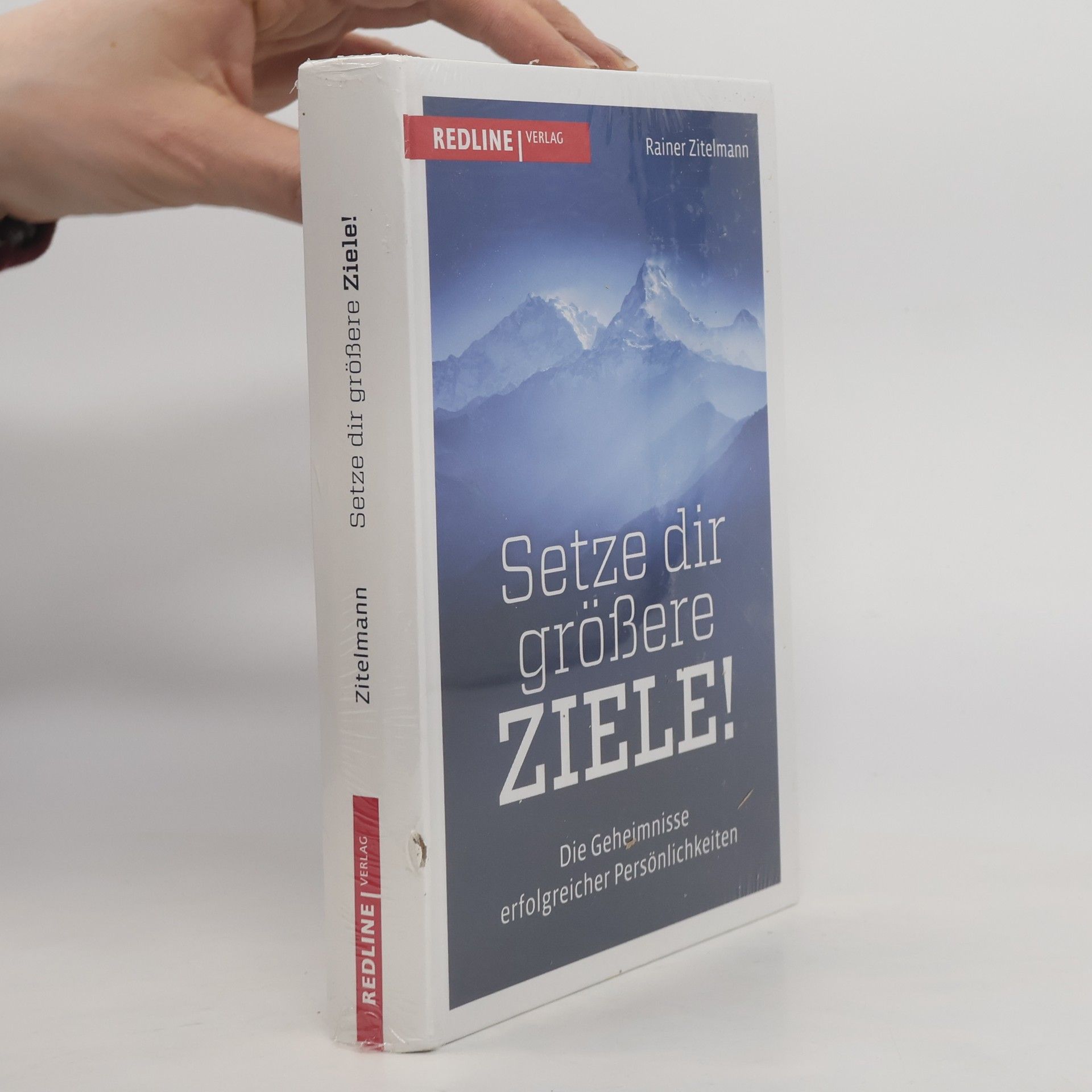 Rainer Zitelmann Setze dir größere Ziele