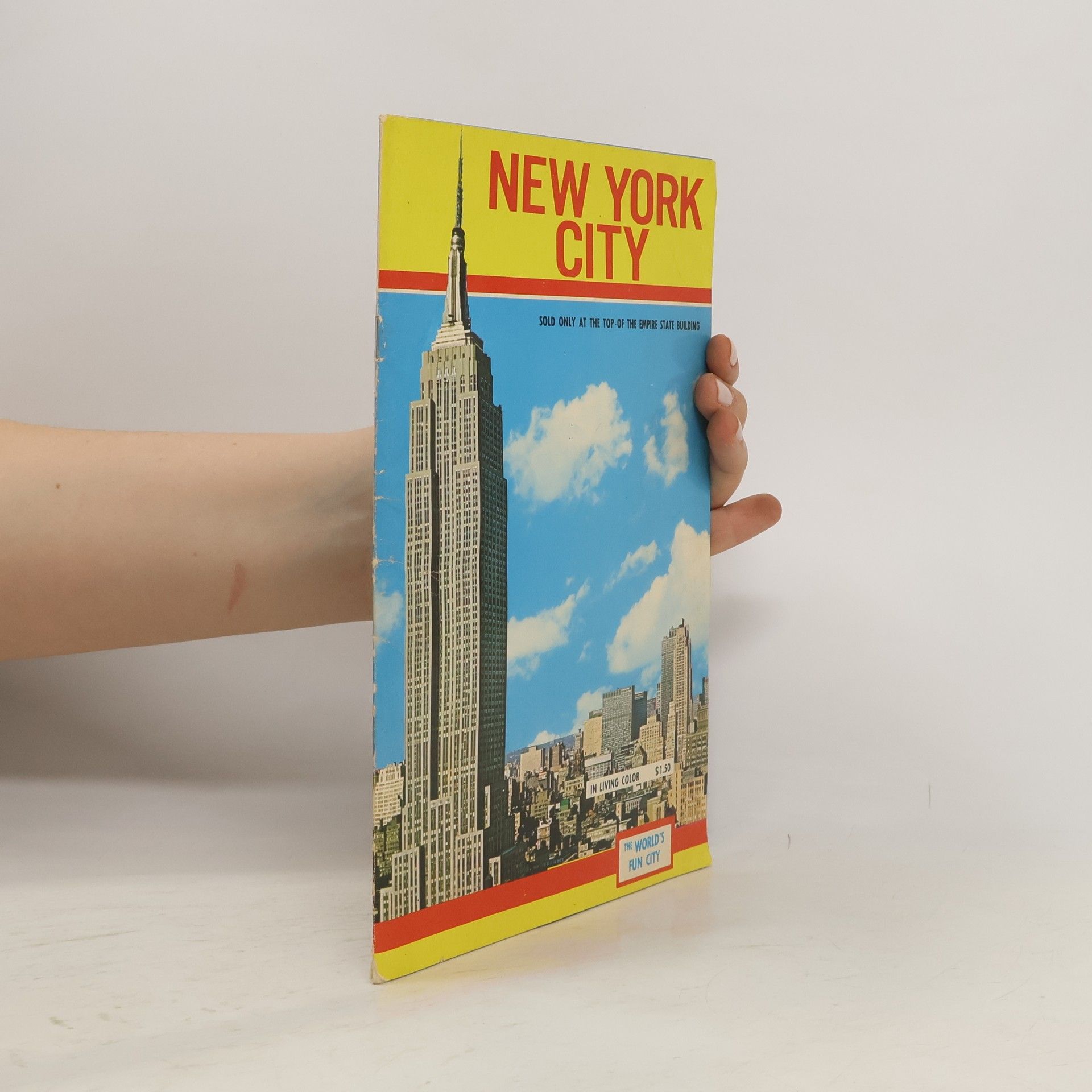 Autorenkollektiv New York City. The World's Fun City