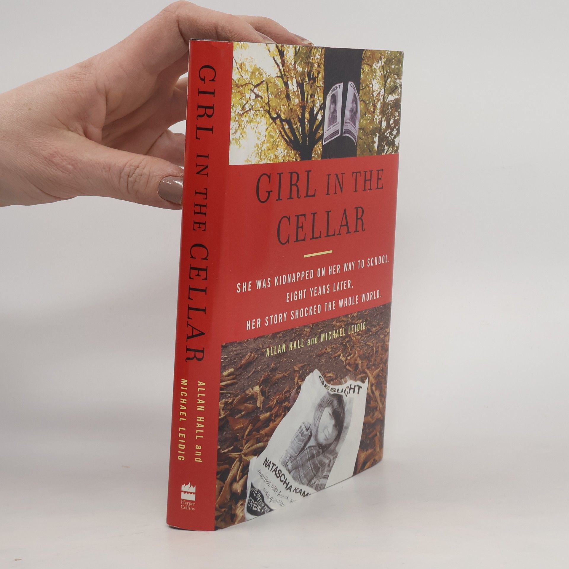 Allan Hall Girl in the Cellar