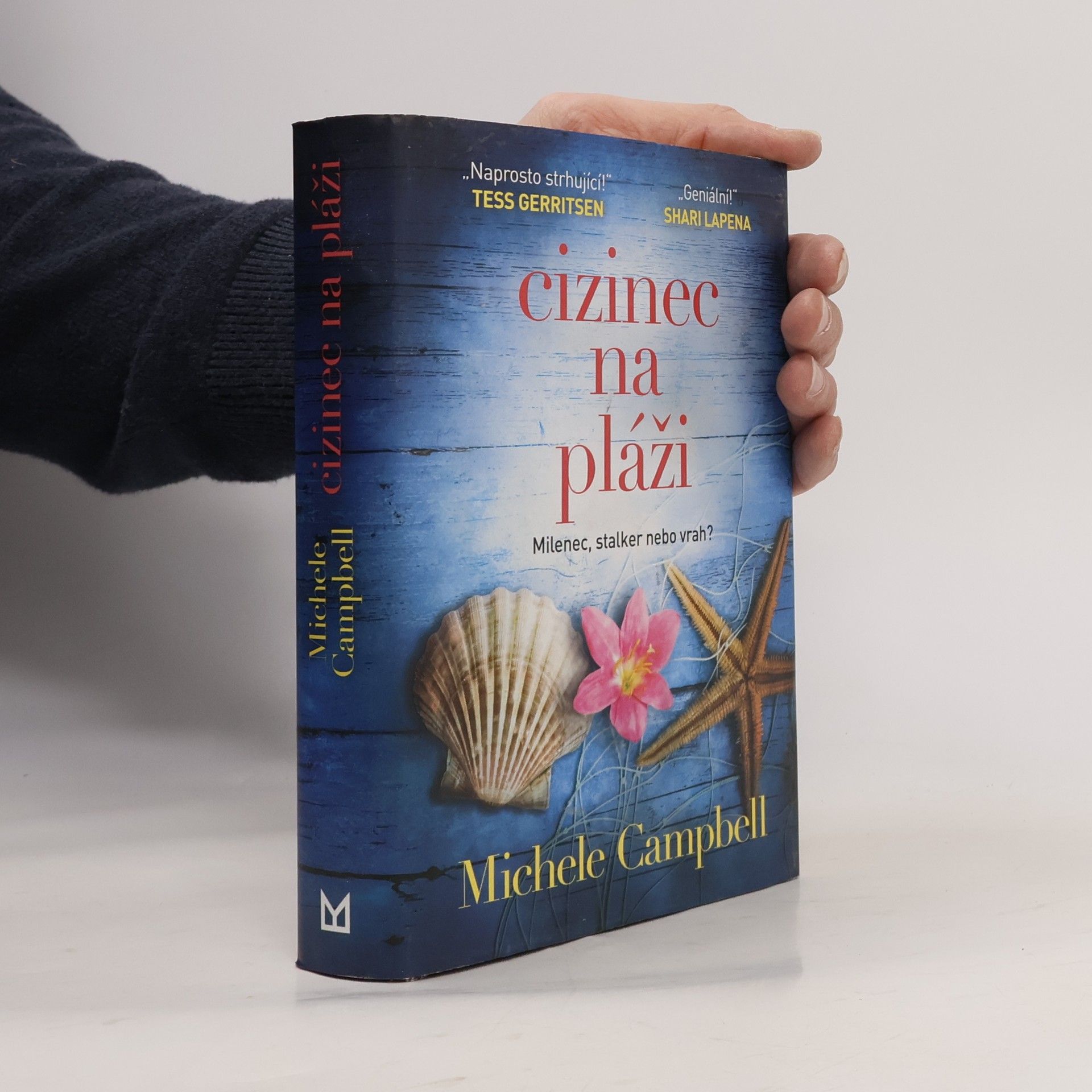 Michele Campbell Cizinec na pláži