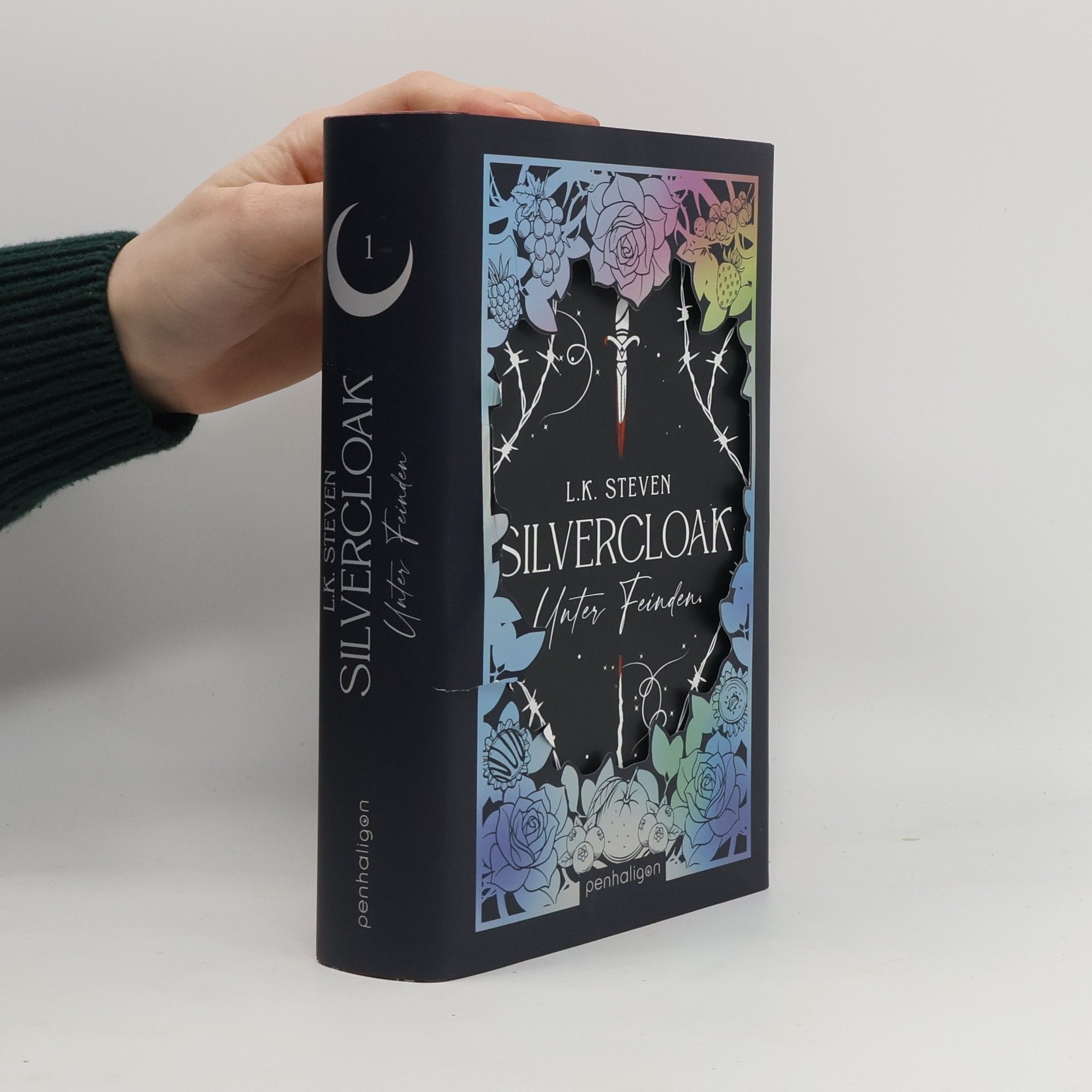 L.K. Steven Silvercloak - Unter Feinden