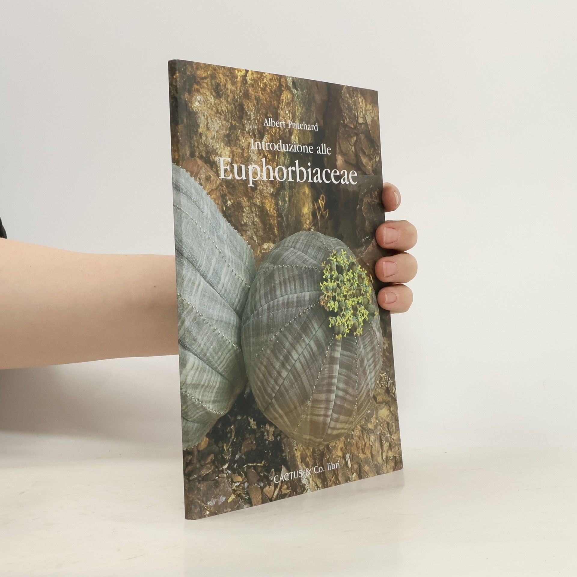 Albert Pritchard Introduzione alle Euphorbiaceae