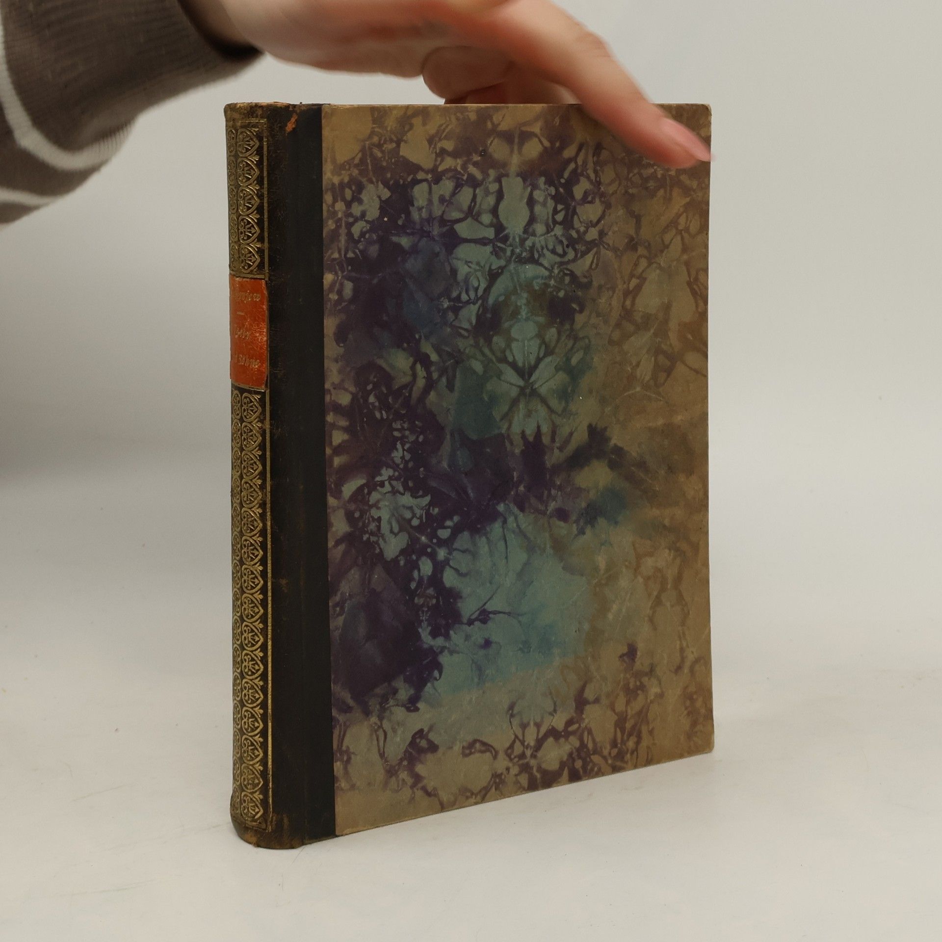 Ivan Turgenev Vater und Sohne