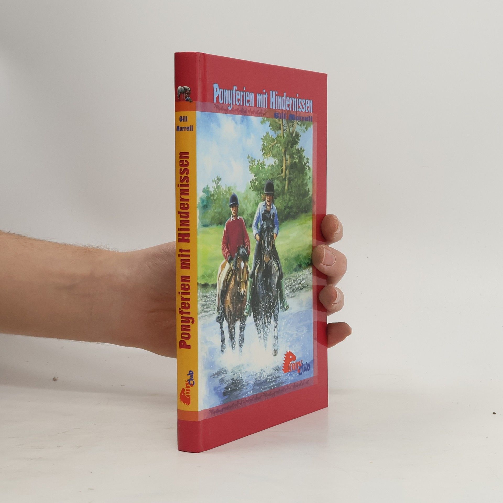 Gill Morrell Ponyferien mit Hindernissen