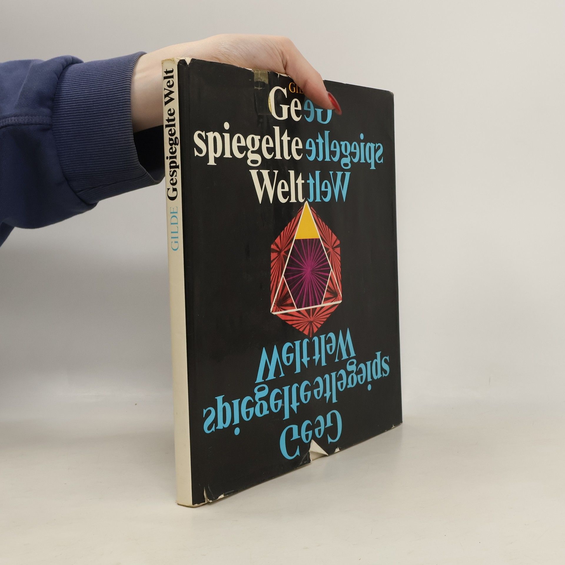 Autorenkollektiv Gilde. Gespiegelte Welt