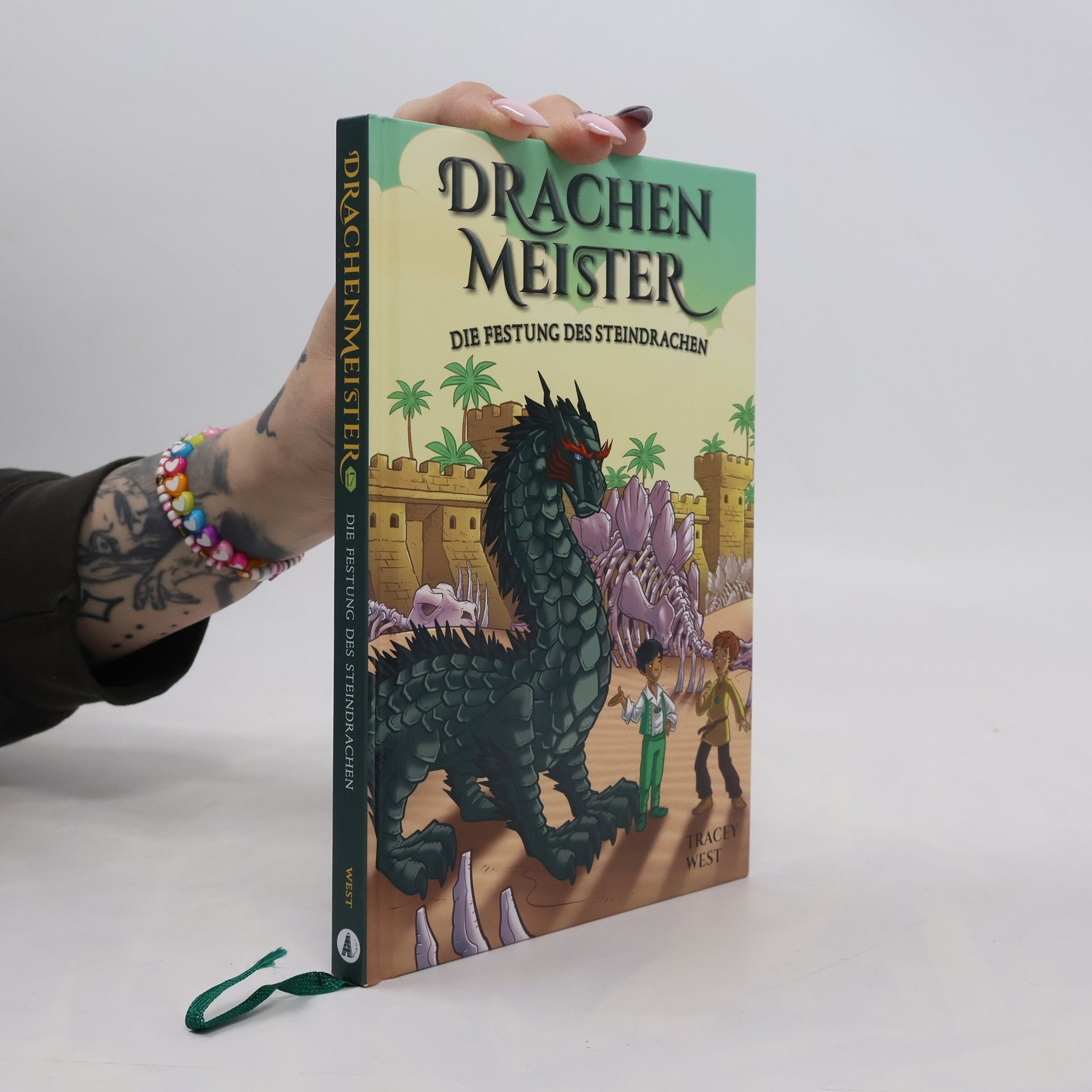 Tracey West Drachenmaster 17: Die Festung des Steindrachen