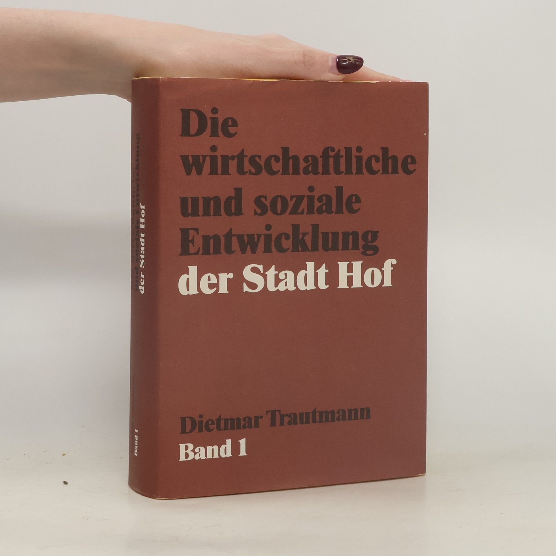 Dietmar Trautmann Die wirtschaftliche und soziale Entwicklung der Stadt Hof