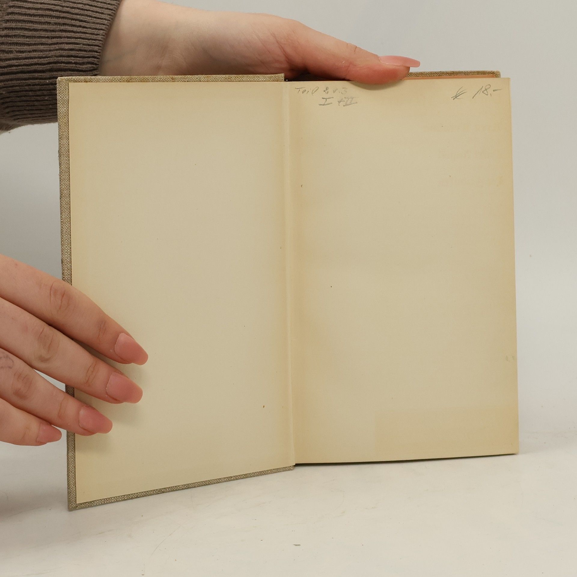 Sigrid Undset Olav Audunssohn und seine Kinder II